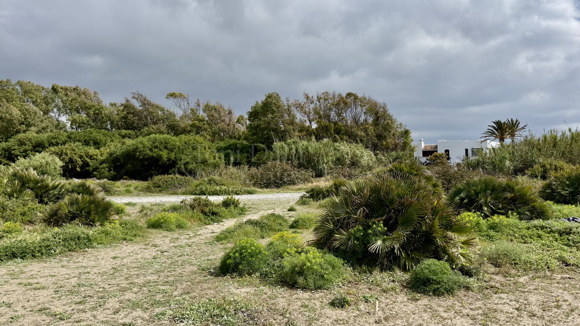 Villa in Cancelada, Estepona