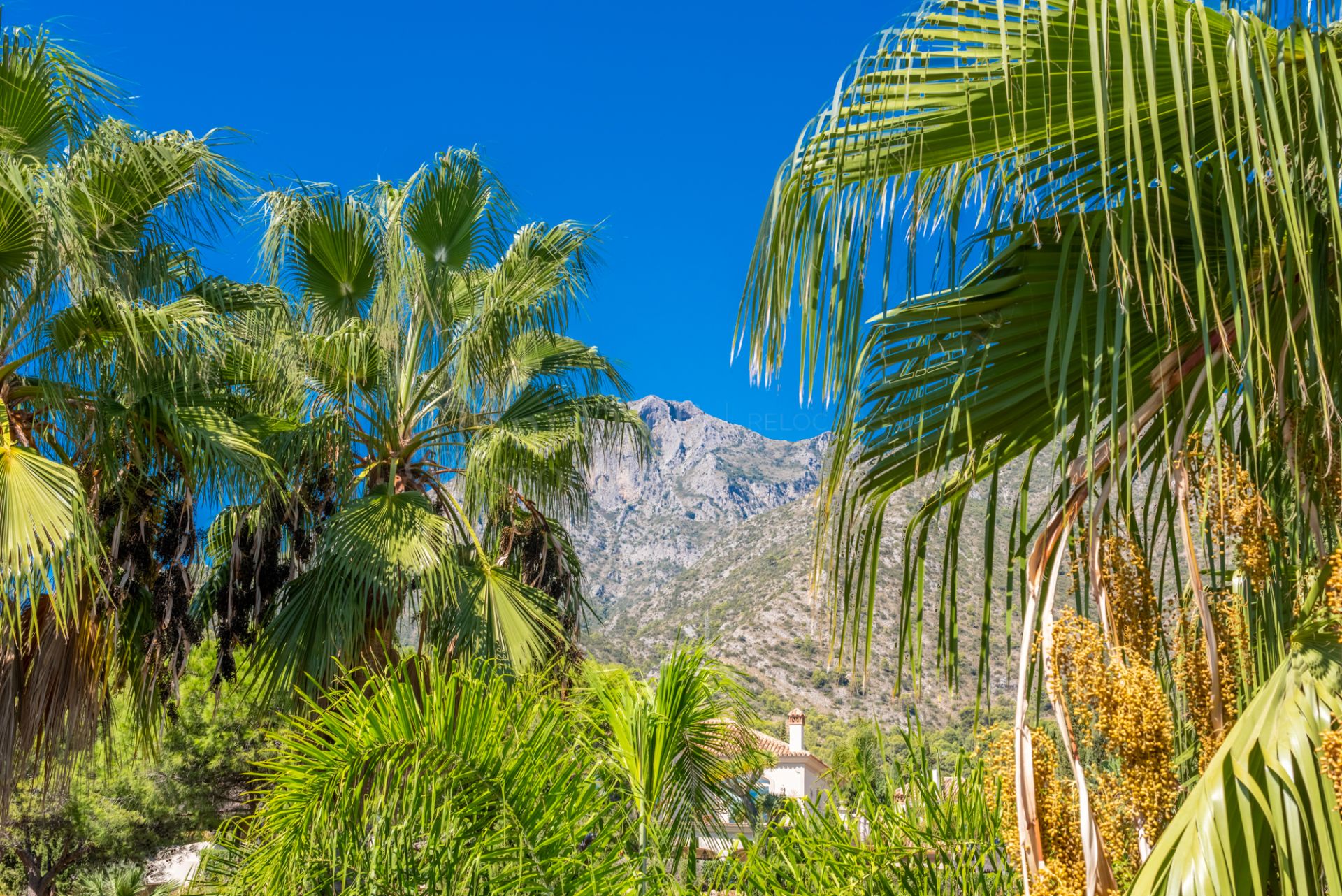 Penthouse in Condado de Sierra Blanca, Marbella