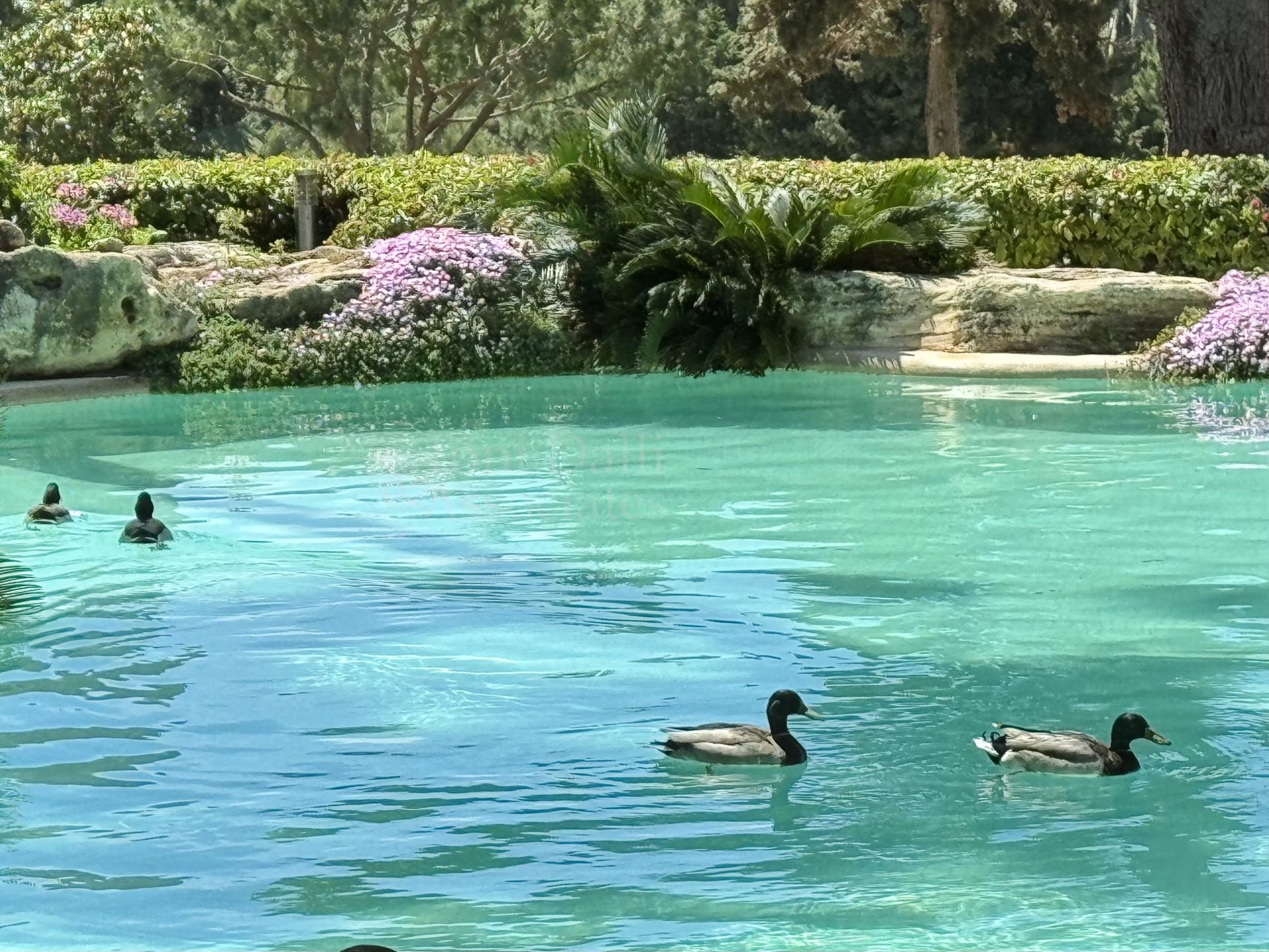 Villa in Rio Real Golf, Marbella