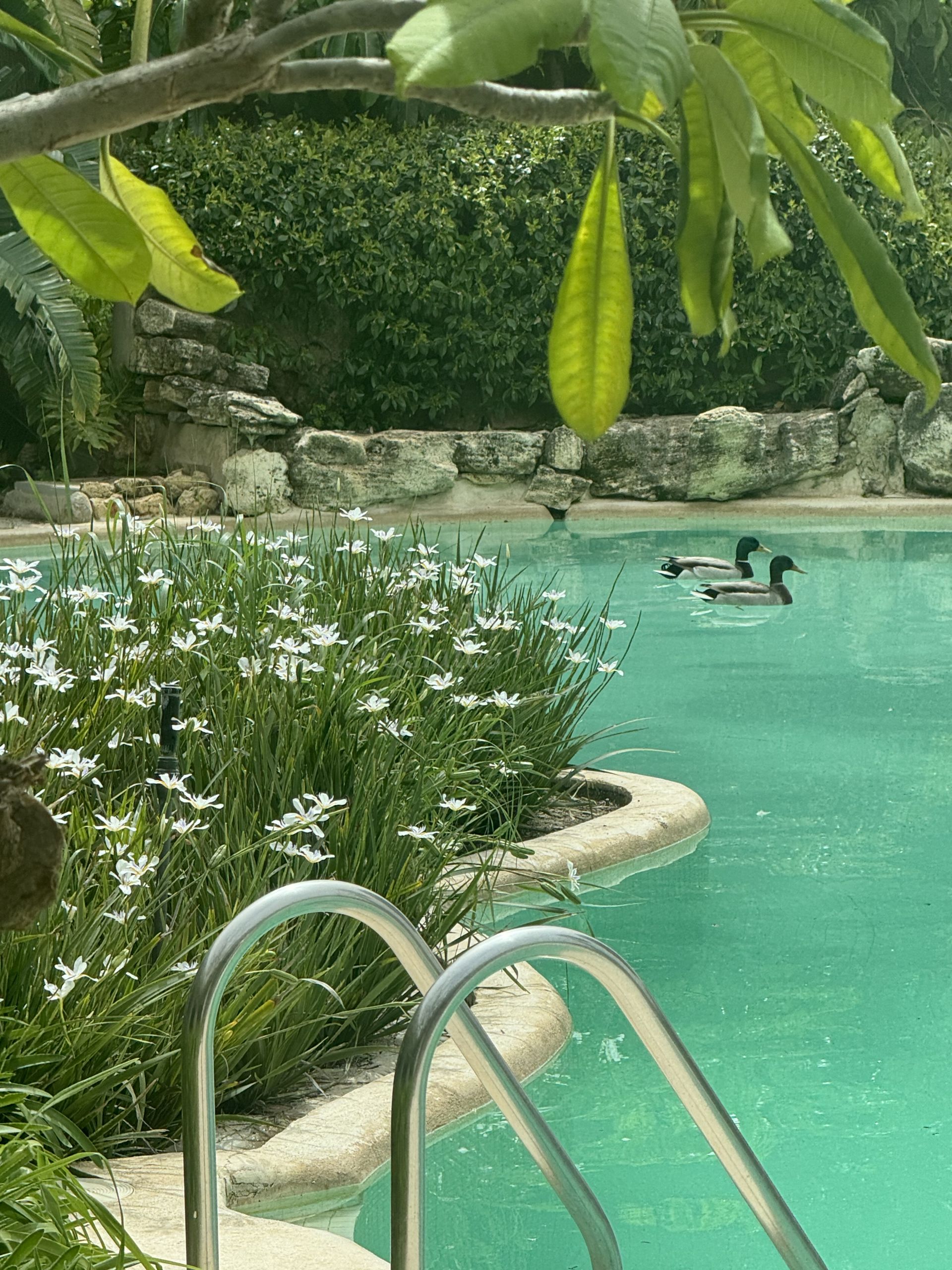 Villa in Rio Real Golf, Marbella