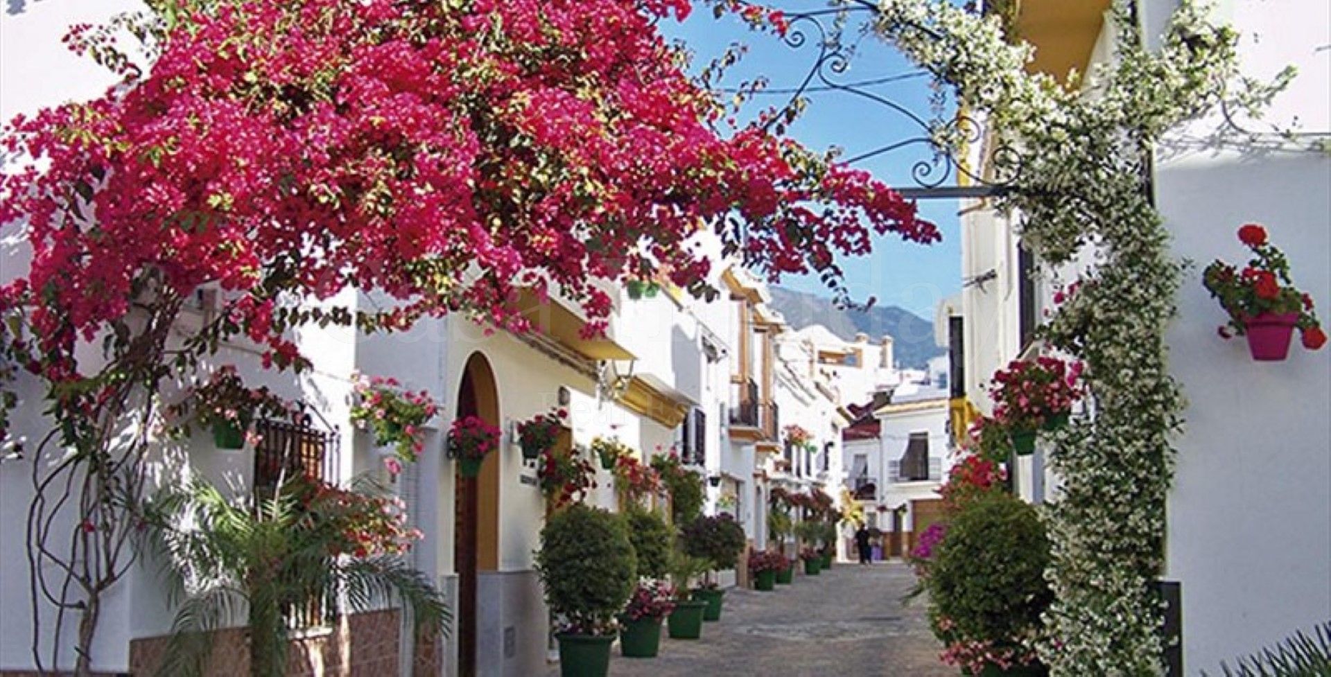Penthouse in Estepona Puerto, Estepona