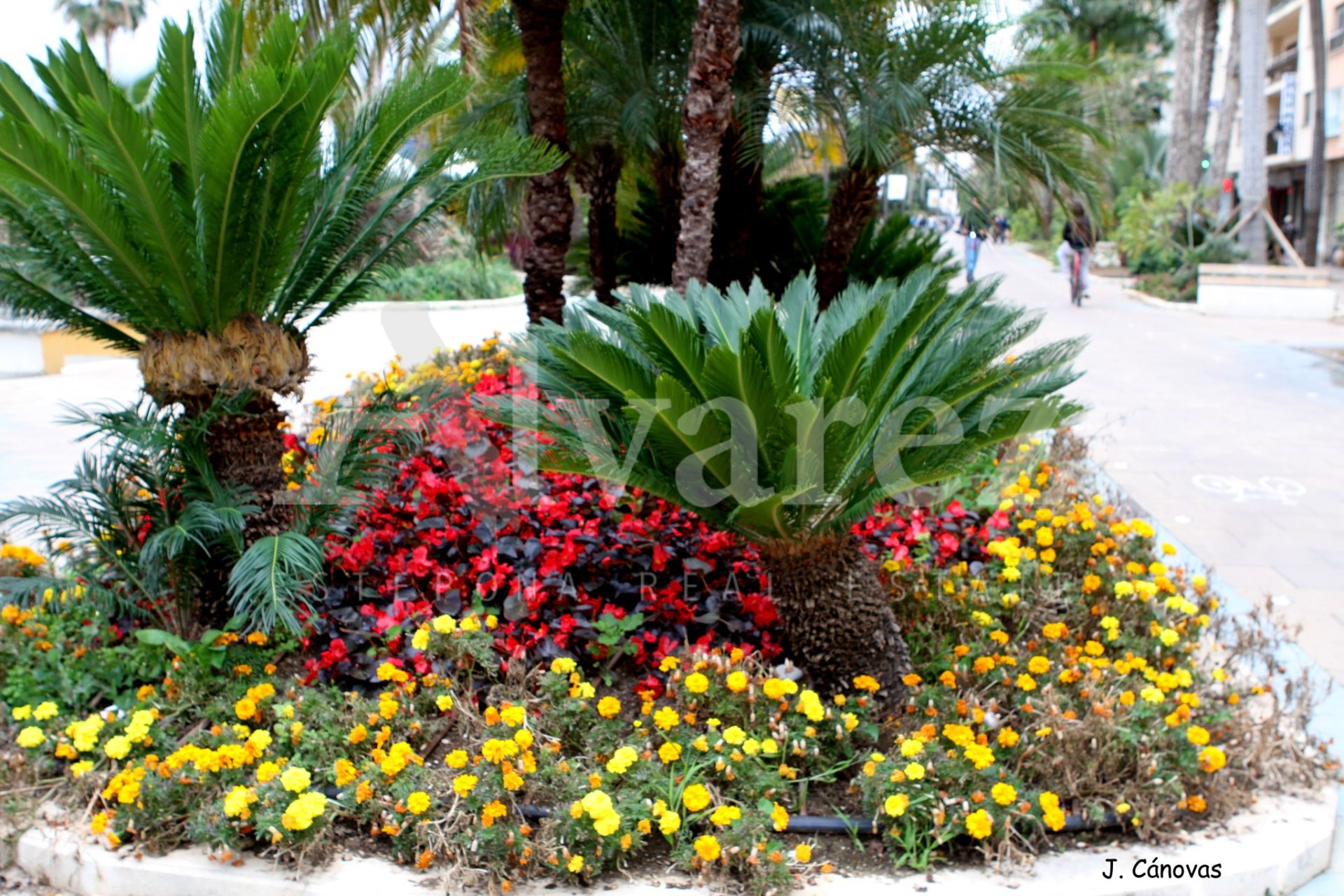 Apartment in Estepona Town, Estepona