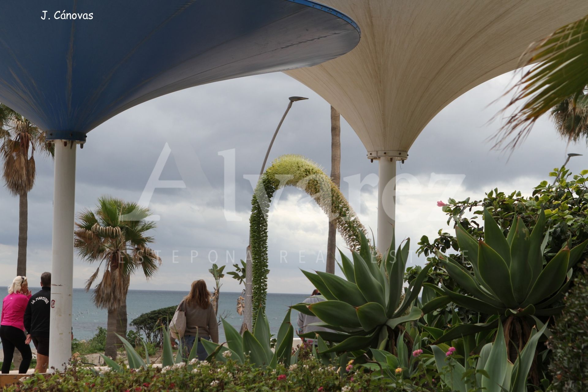 Apartamento en Estepona Ciudad, Estepona