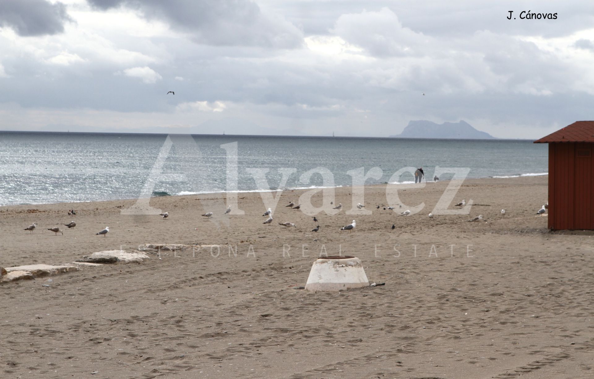 Apartamento en Estepona Ciudad, Estepona