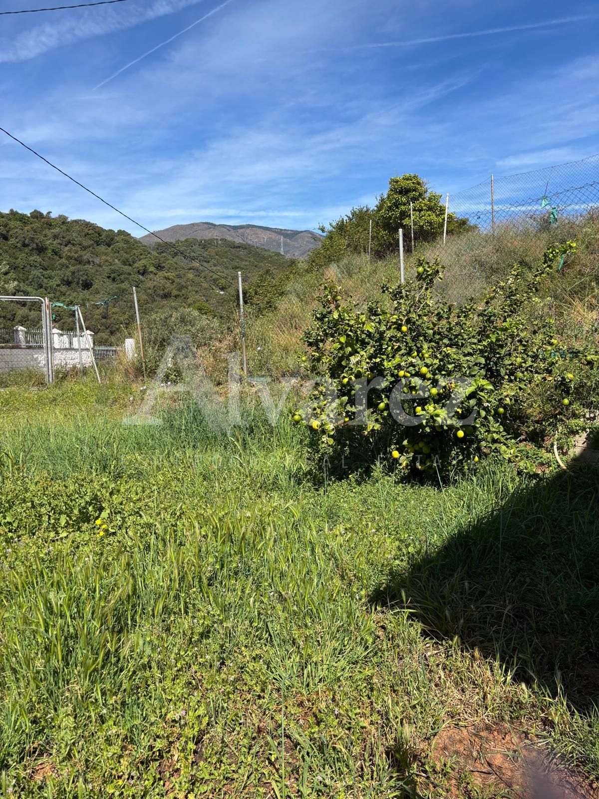 Country House in El Padron, Estepona