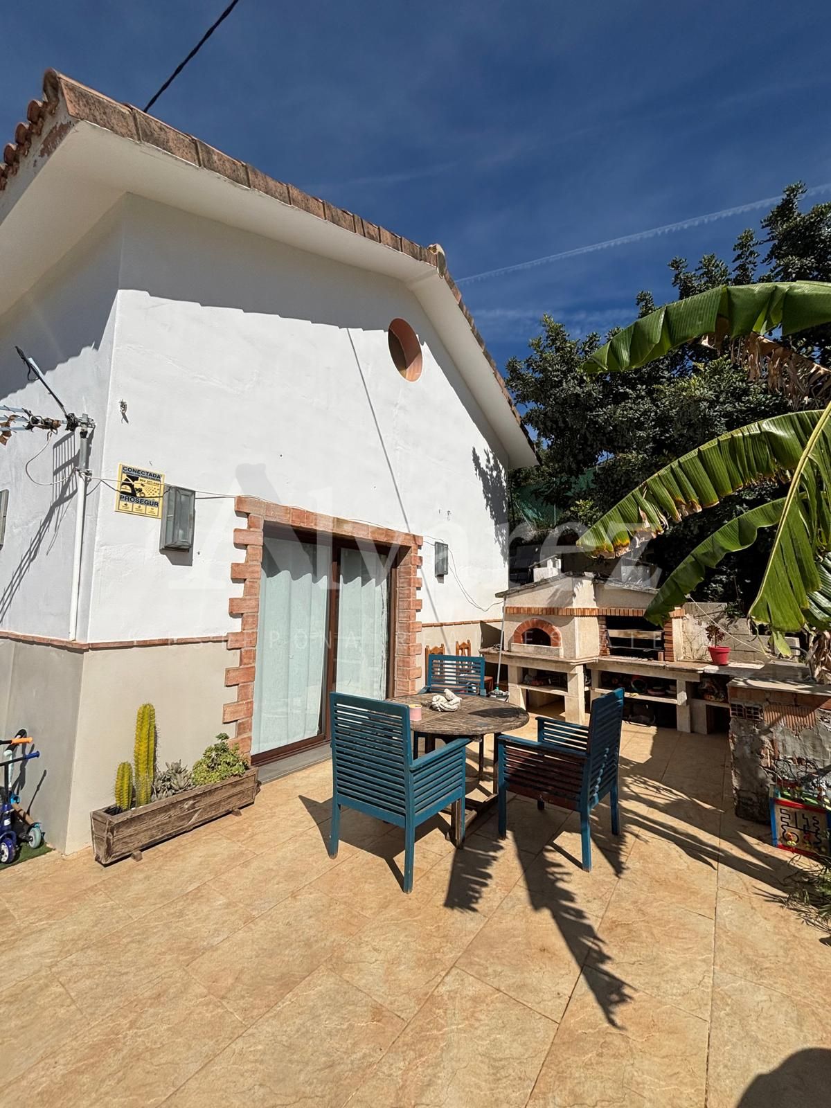 Country House in El Padron, Estepona