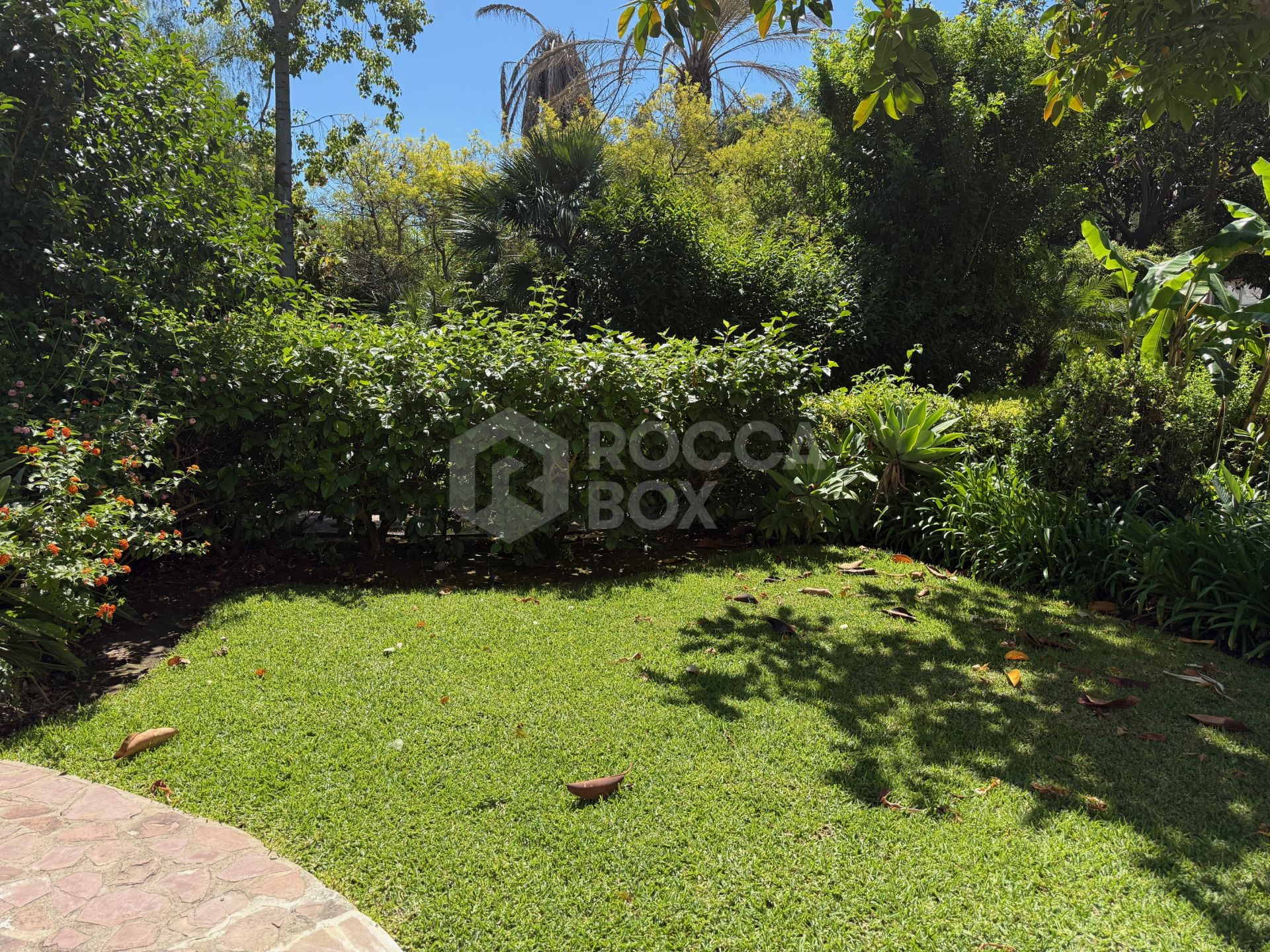 Ground floor apartment with large terrace and garden