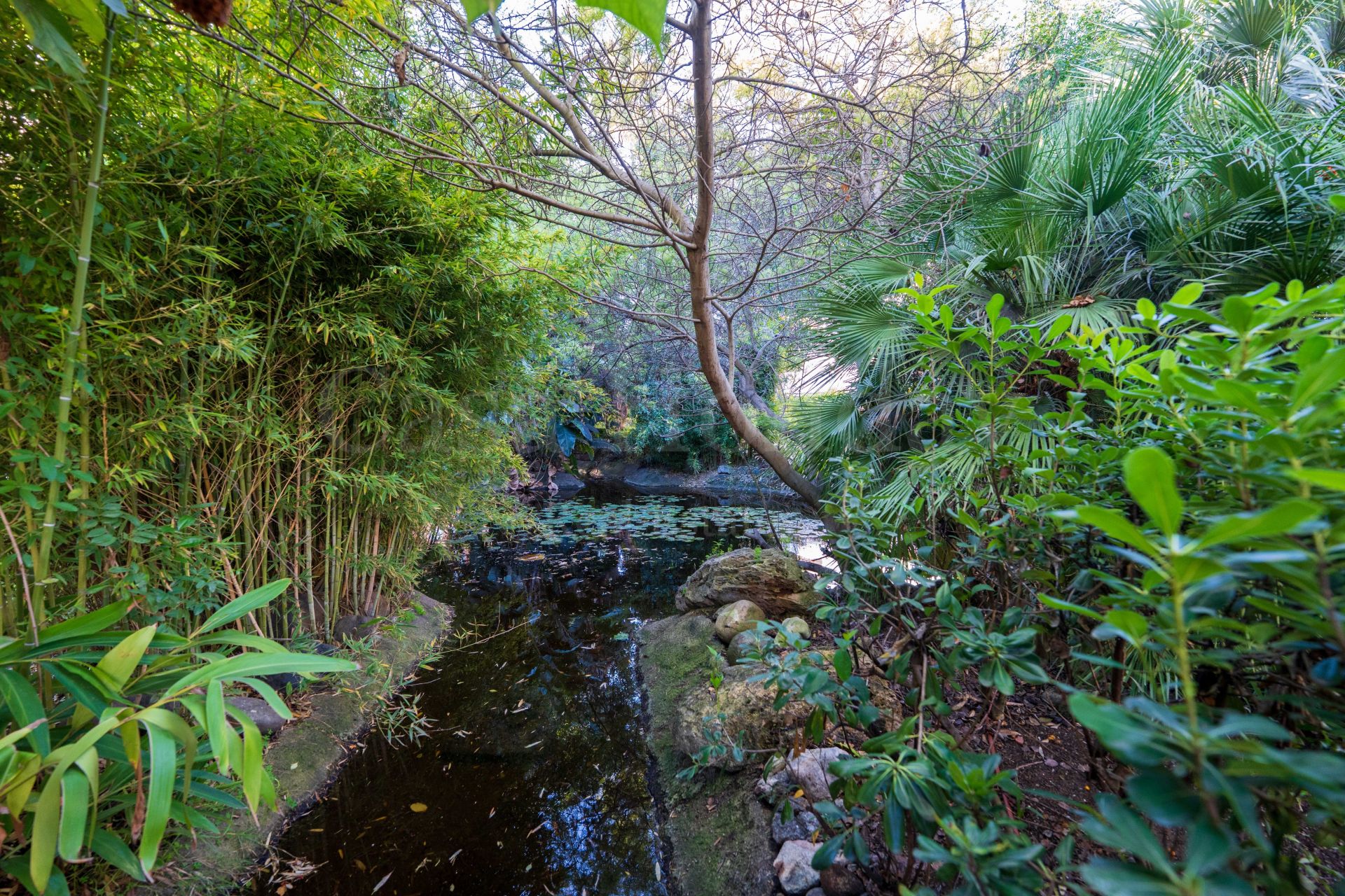 Apartamento Planta Baja en Alhambra del Golf, Estepona