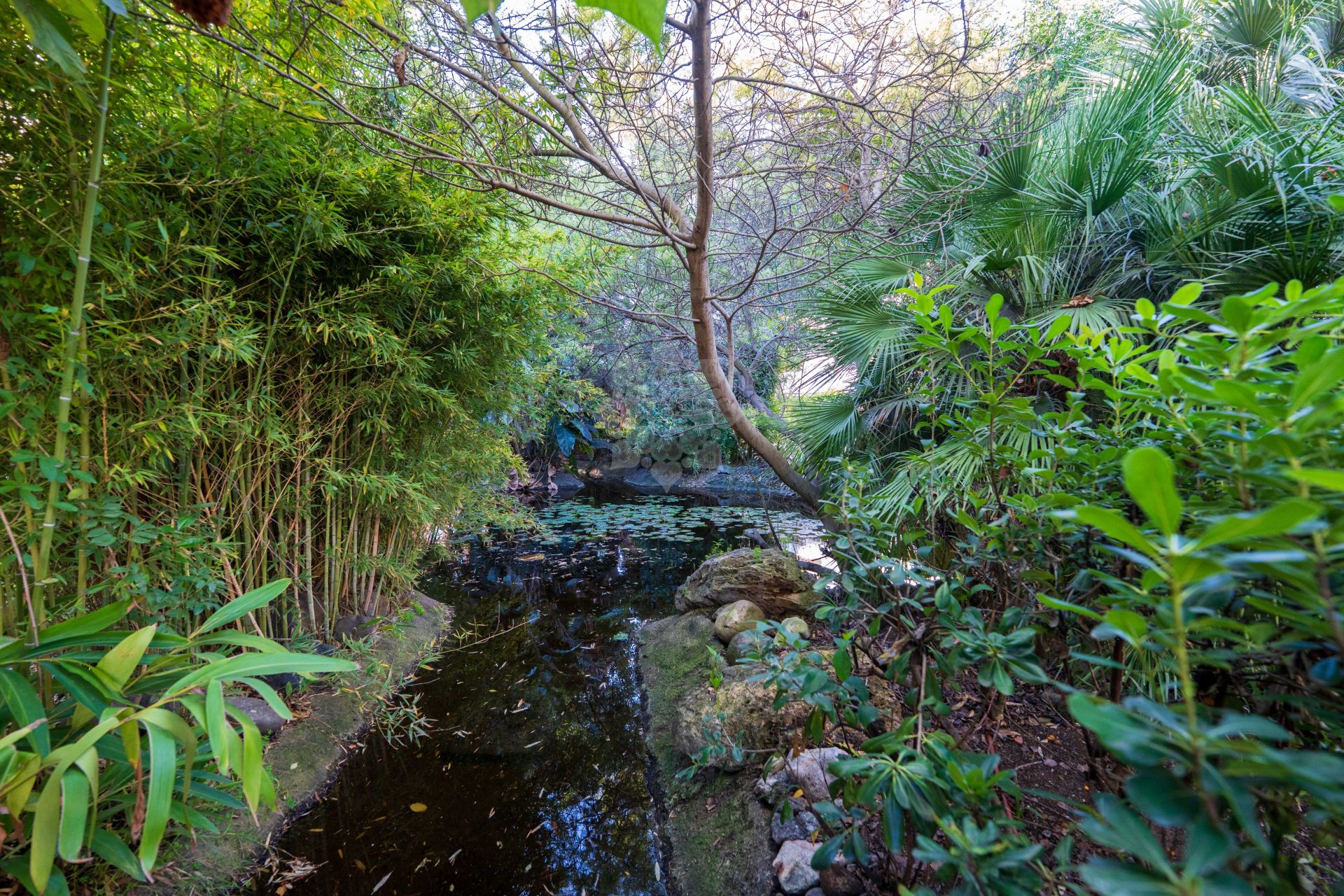 Apartamento Planta Baja en Alhambra del Golf, Estepona