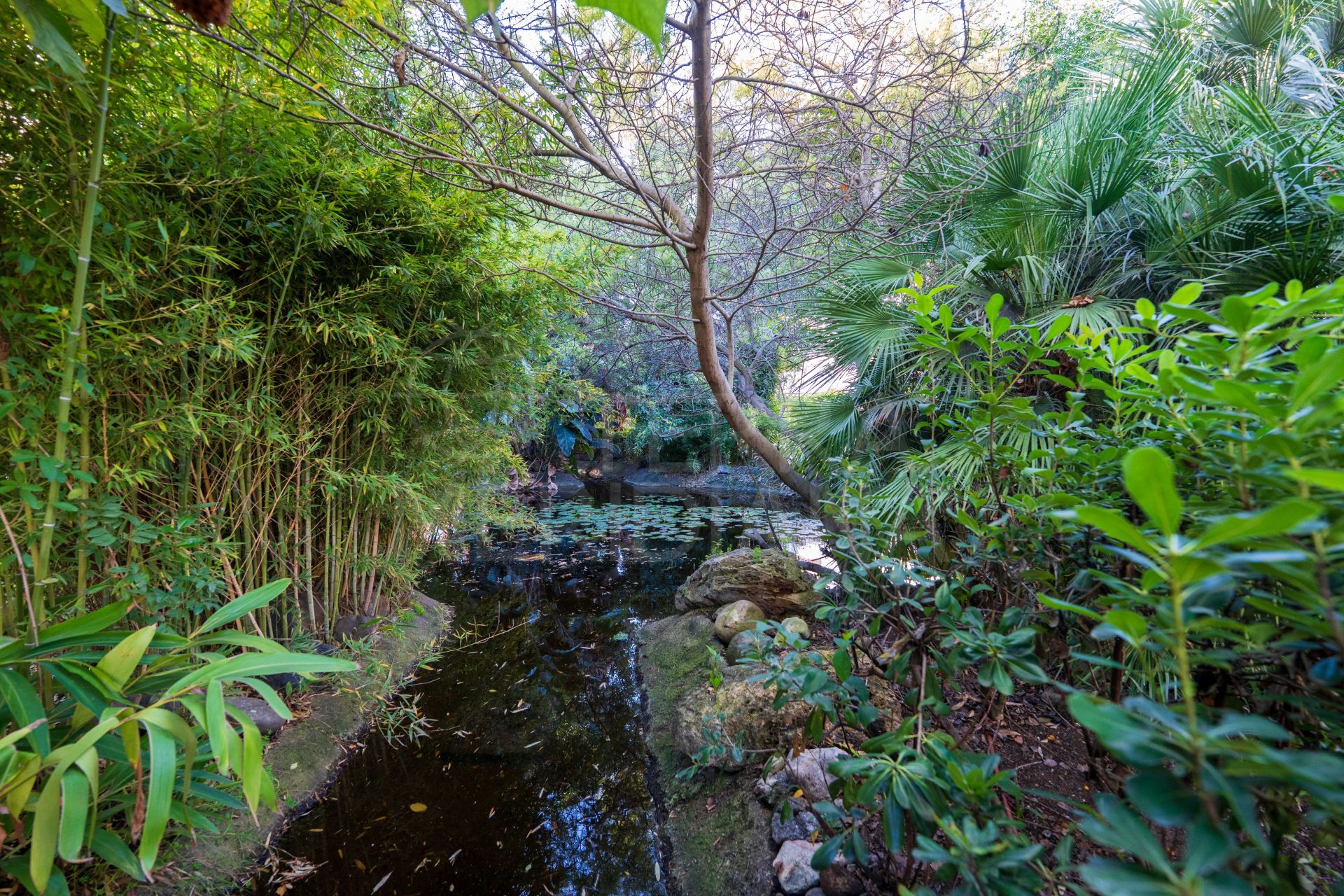 Ground Floor Apartment in Alhambra del Golf, Estepona