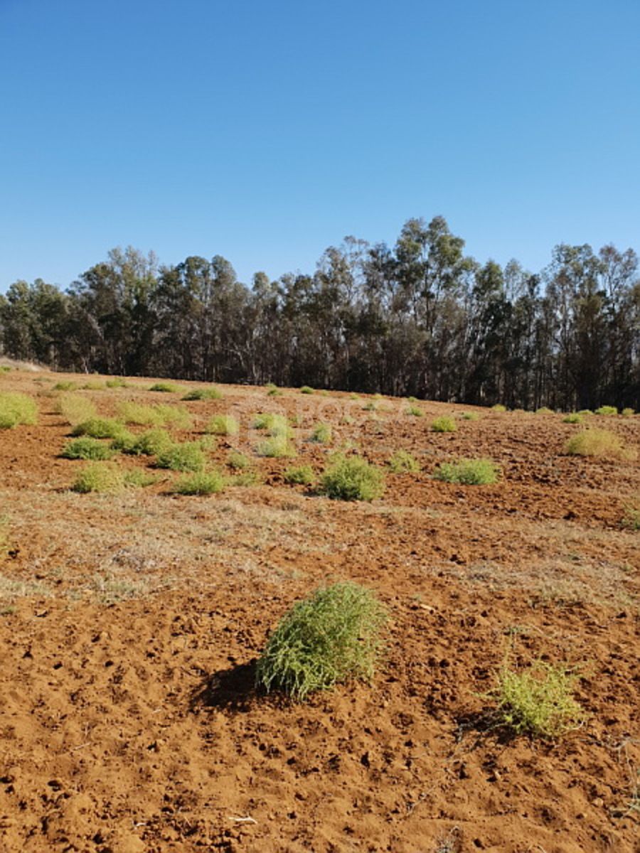 PLOT FOR SALE IN CADIZ