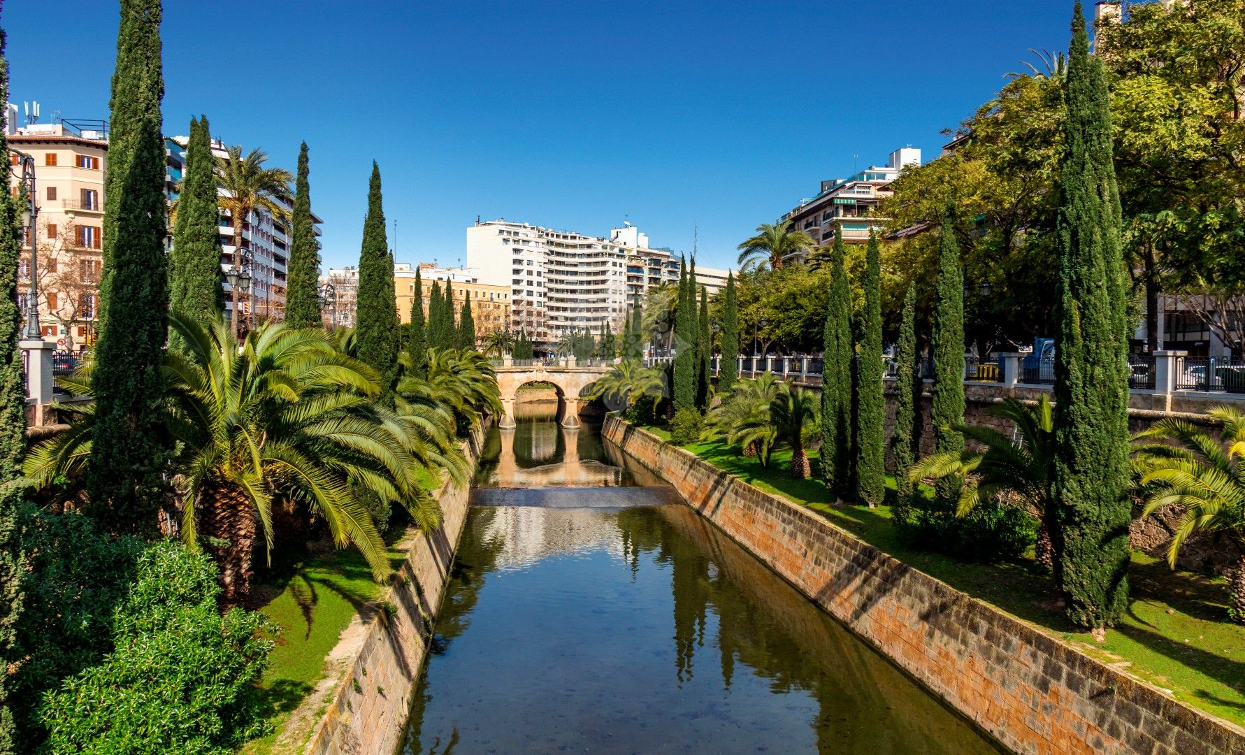 Development in Palma de Mallorca
