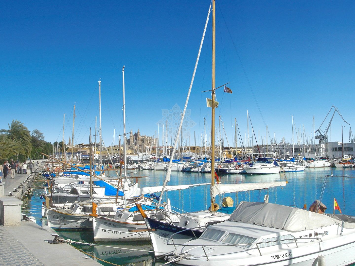 Development in Palma de Mallorca