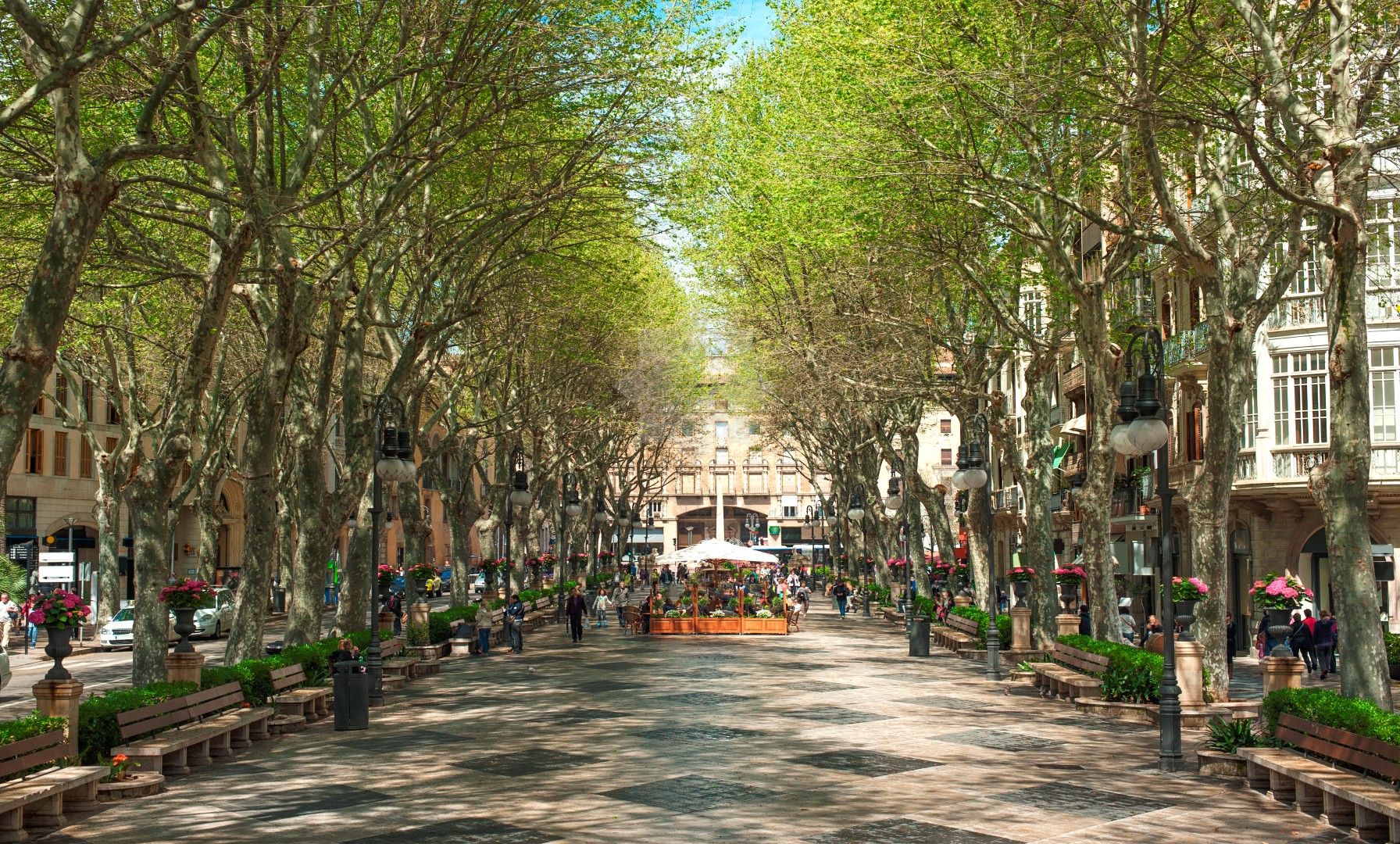 Development in Palma de Mallorca