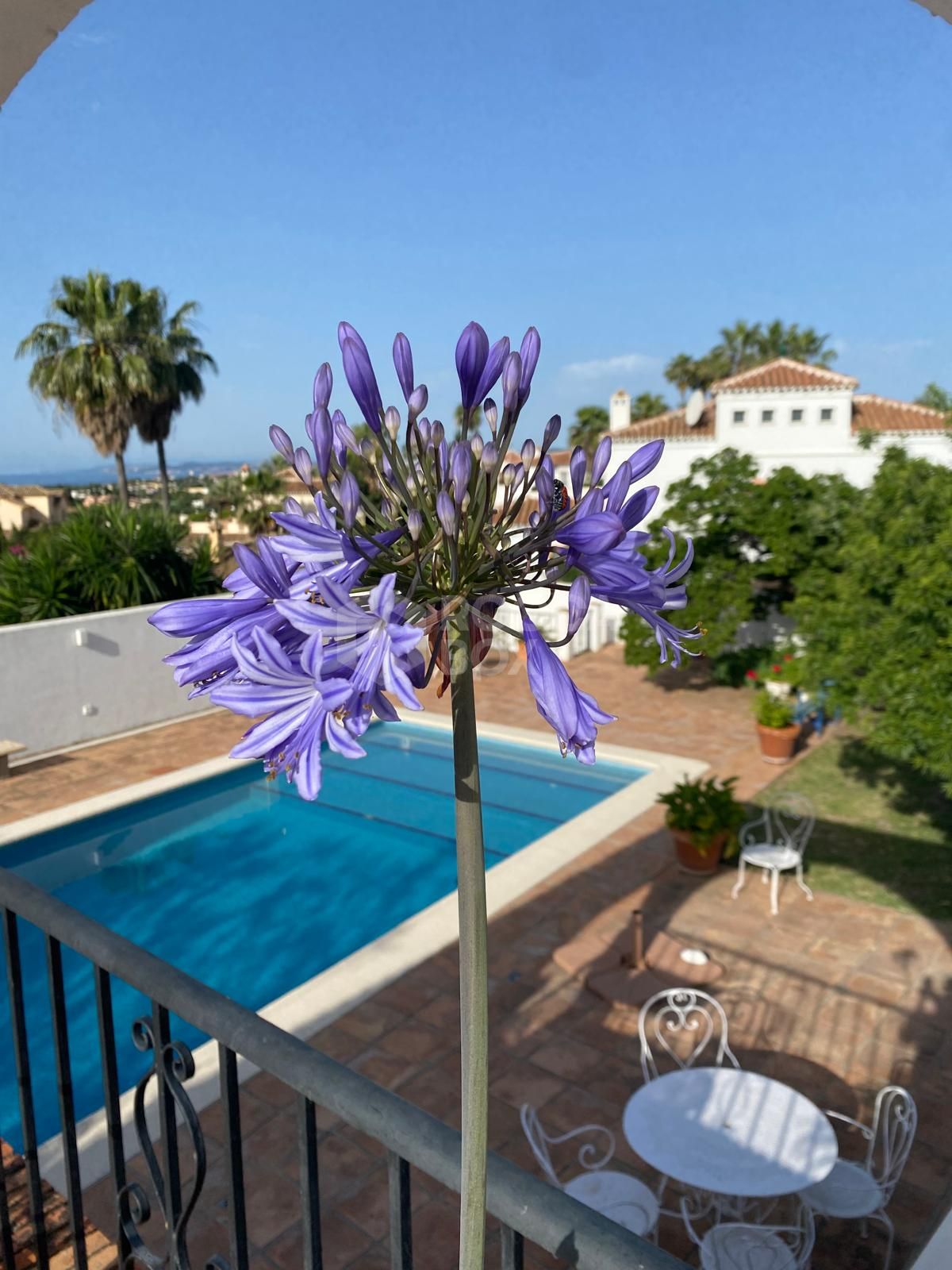 Charming traditional style Villa with Panoramic Sea Views and guest apartment in Puerto Romano, Estepona