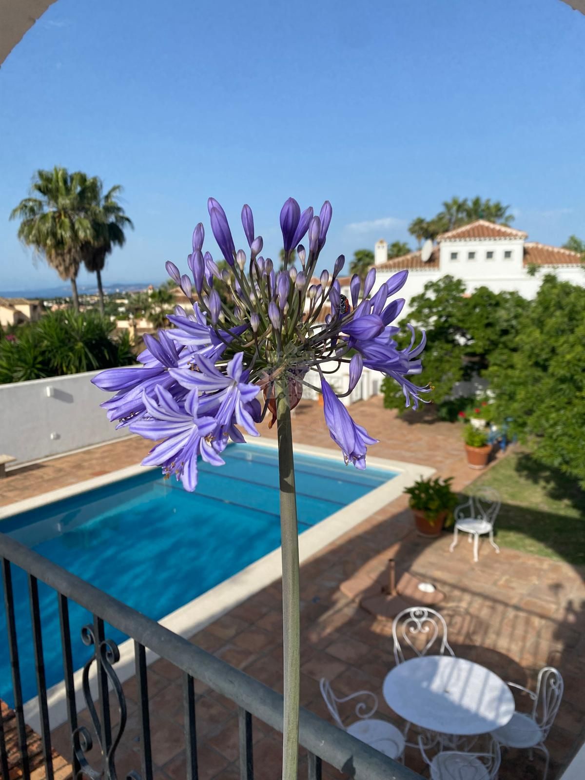 Villa en Puerto Romano, Estepona