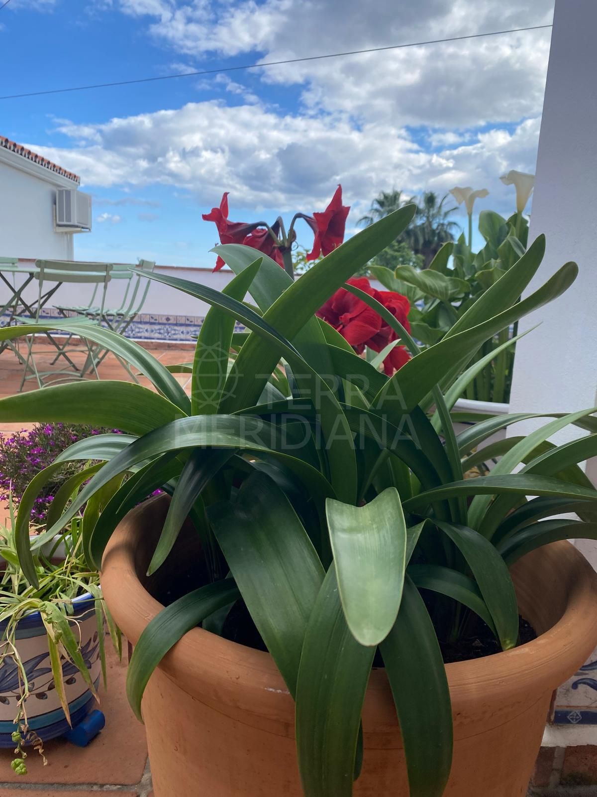 Villa in Puerto Romano, Estepona