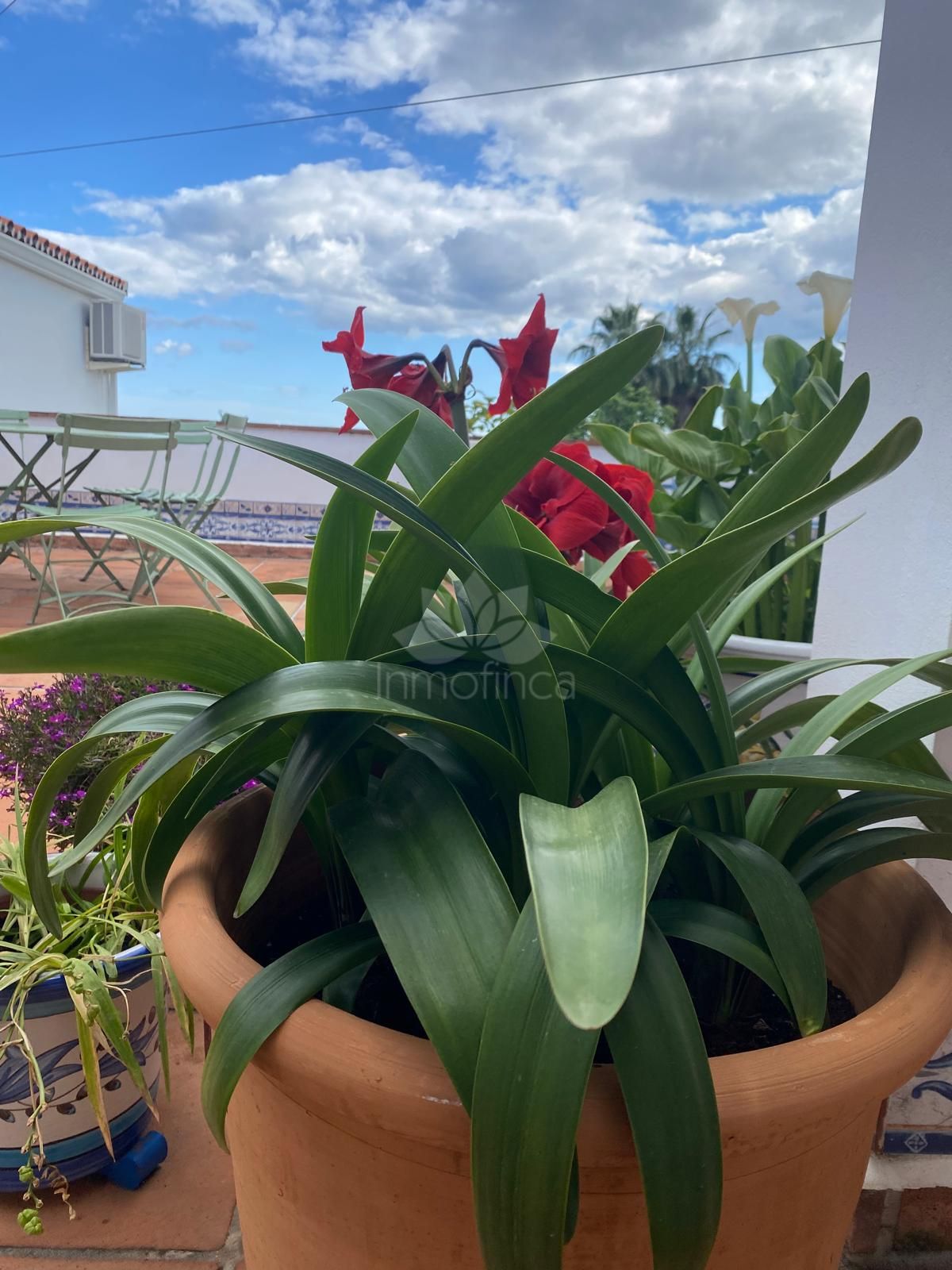 Villa in Puerto Romano, Estepona