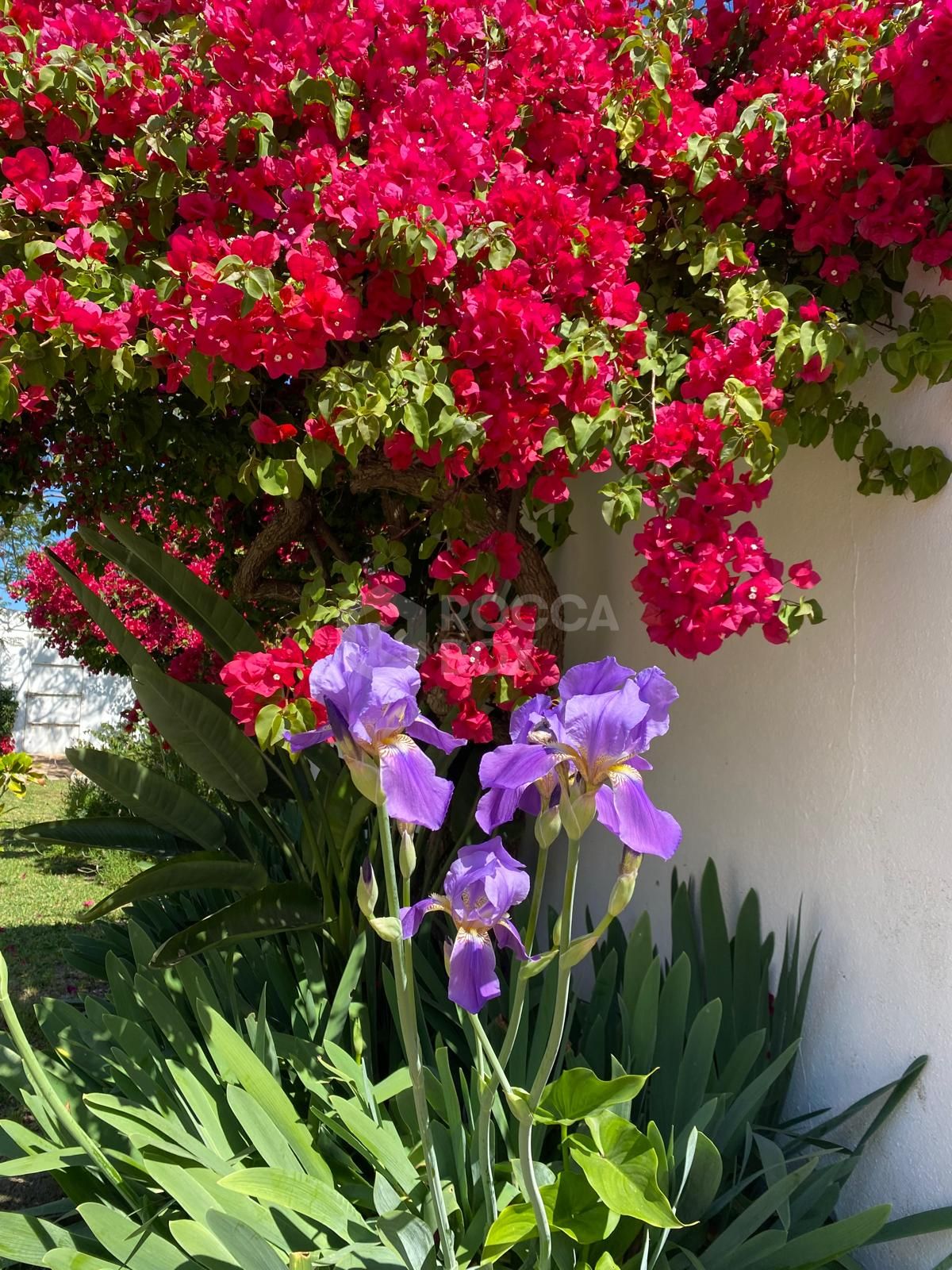 Charming traditional style Villa with Panoramic Sea Views and guest apartment in Puerto Romano, Estepona