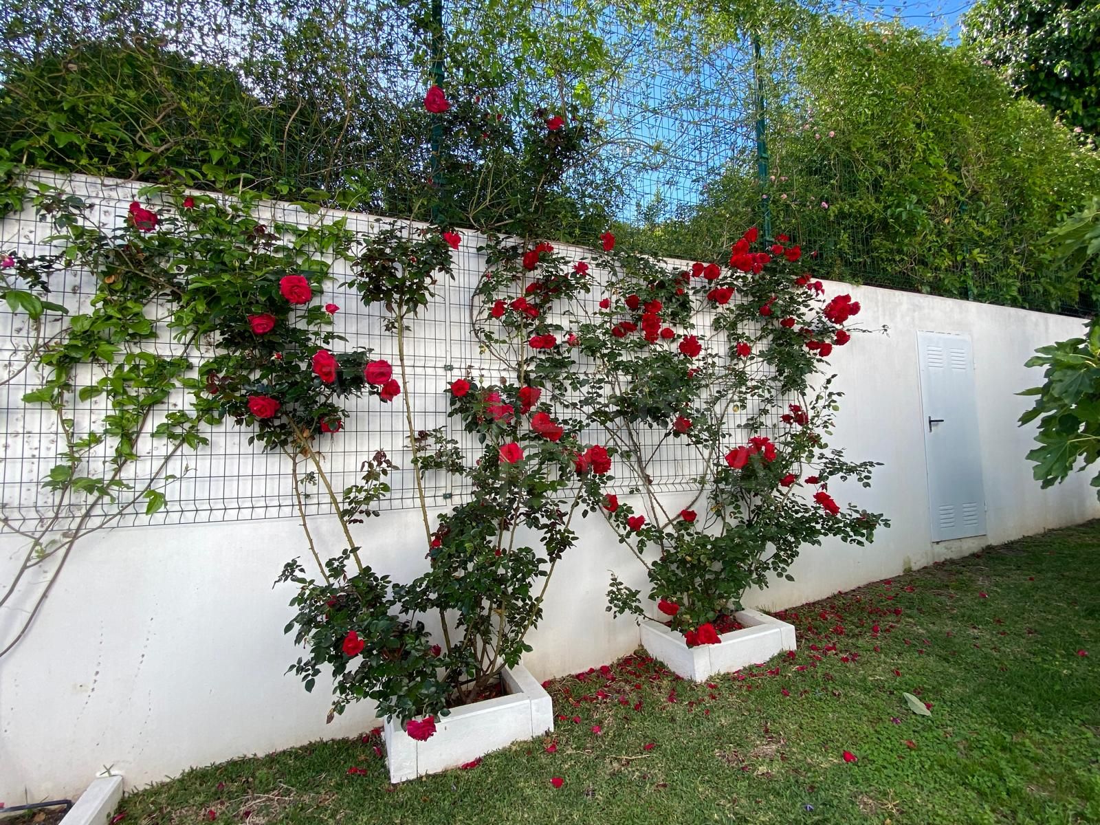 Villa in Puerto Romano, Estepona