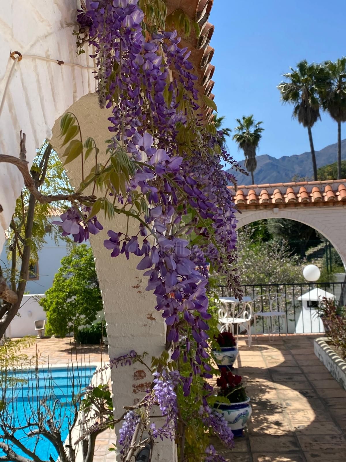 Villa in Puerto Romano, Estepona