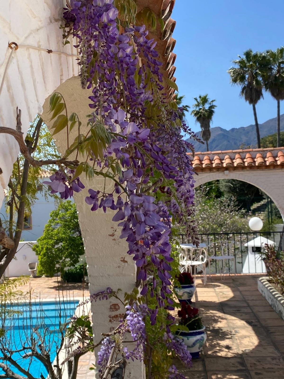 Villa in Puerto Romano, Estepona