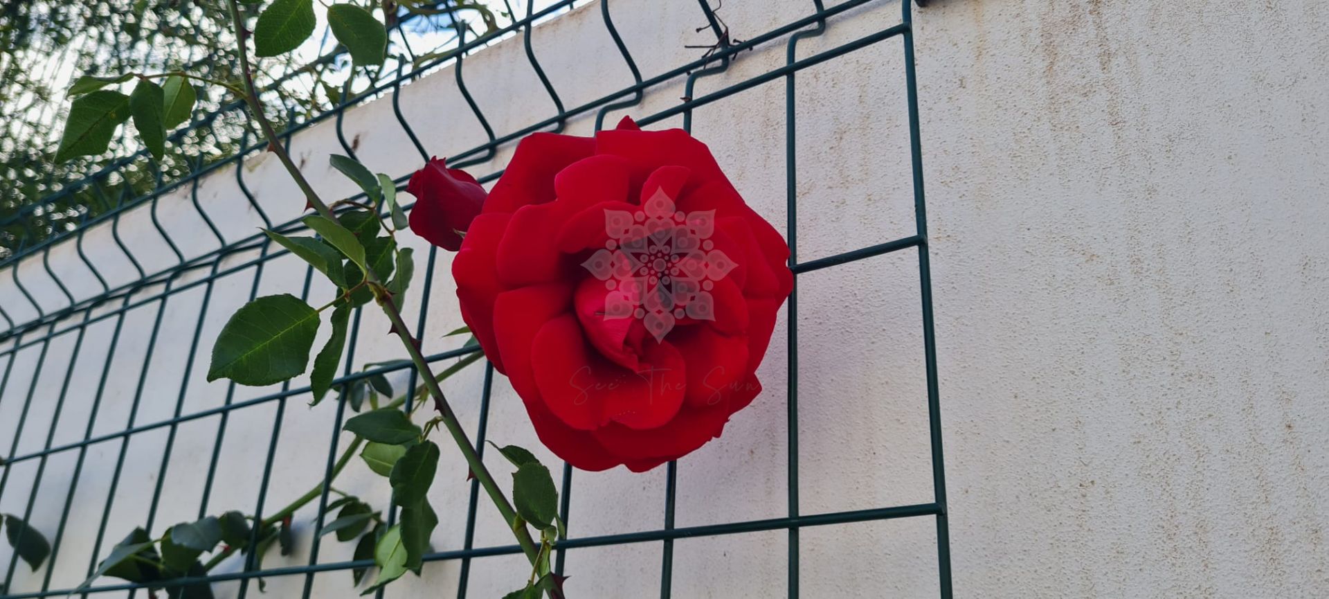 Villa en Puerto Romano, Estepona