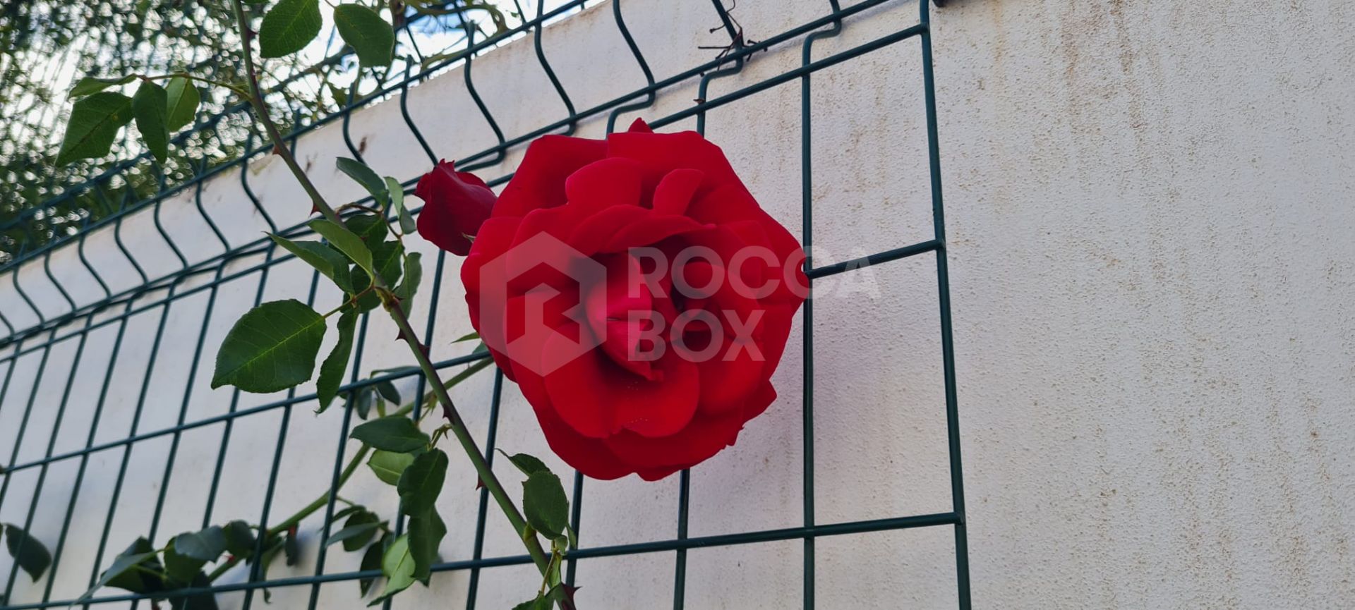 Charming traditional style Villa with Panoramic Sea Views and guest apartment in Puerto Romano, Estepona