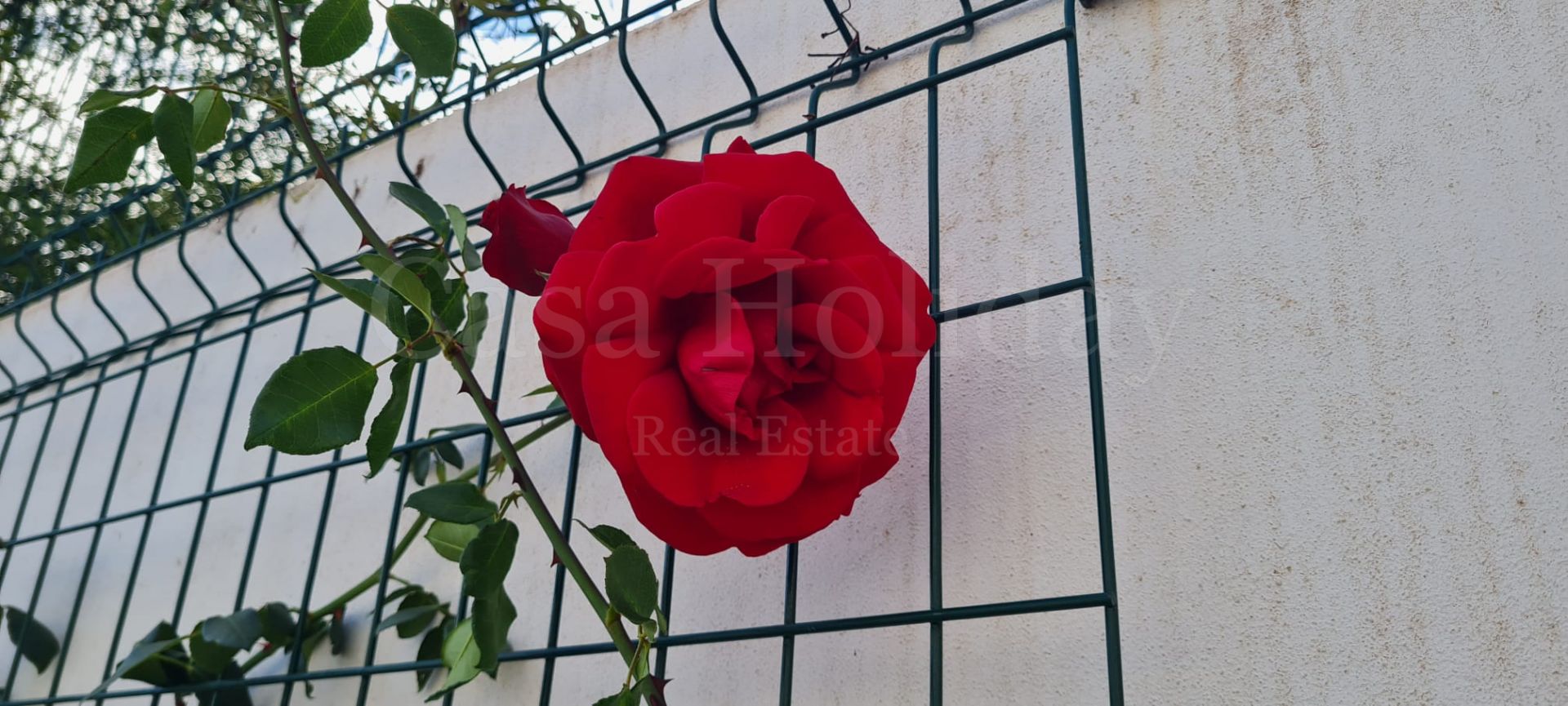 Villa en Puerto Romano, Estepona