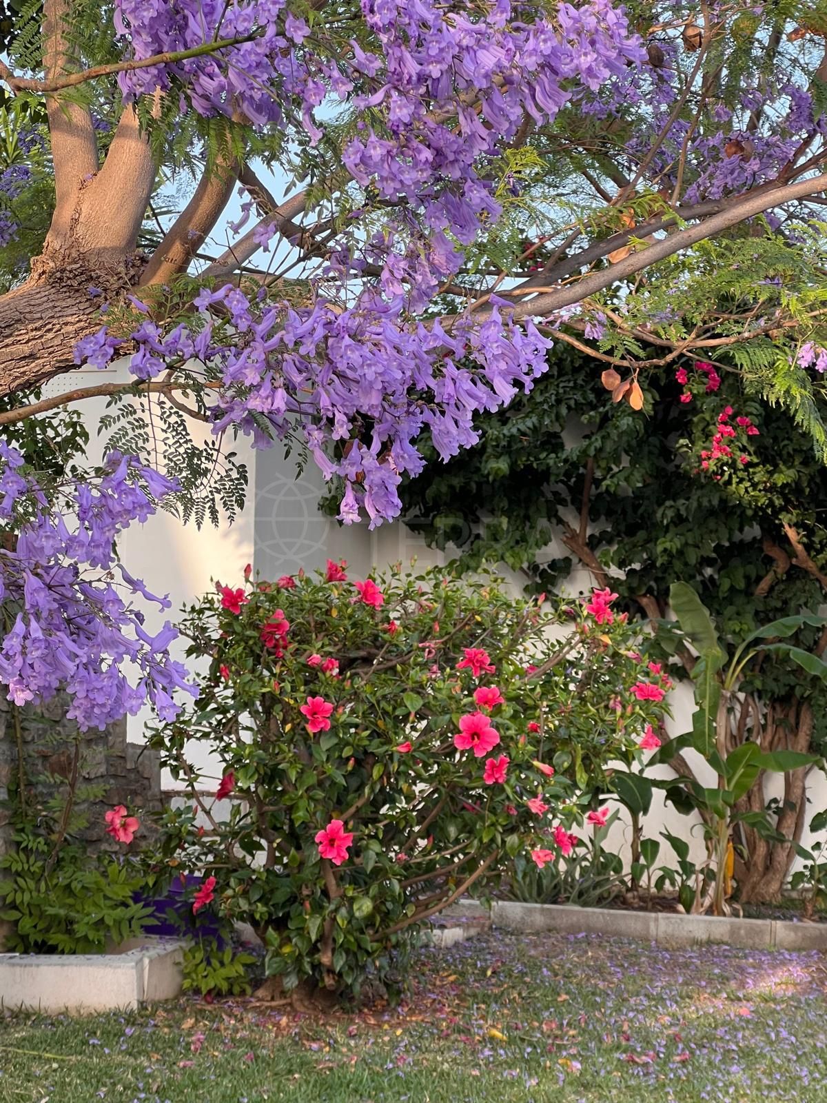 Villa in Puerto Romano, Estepona