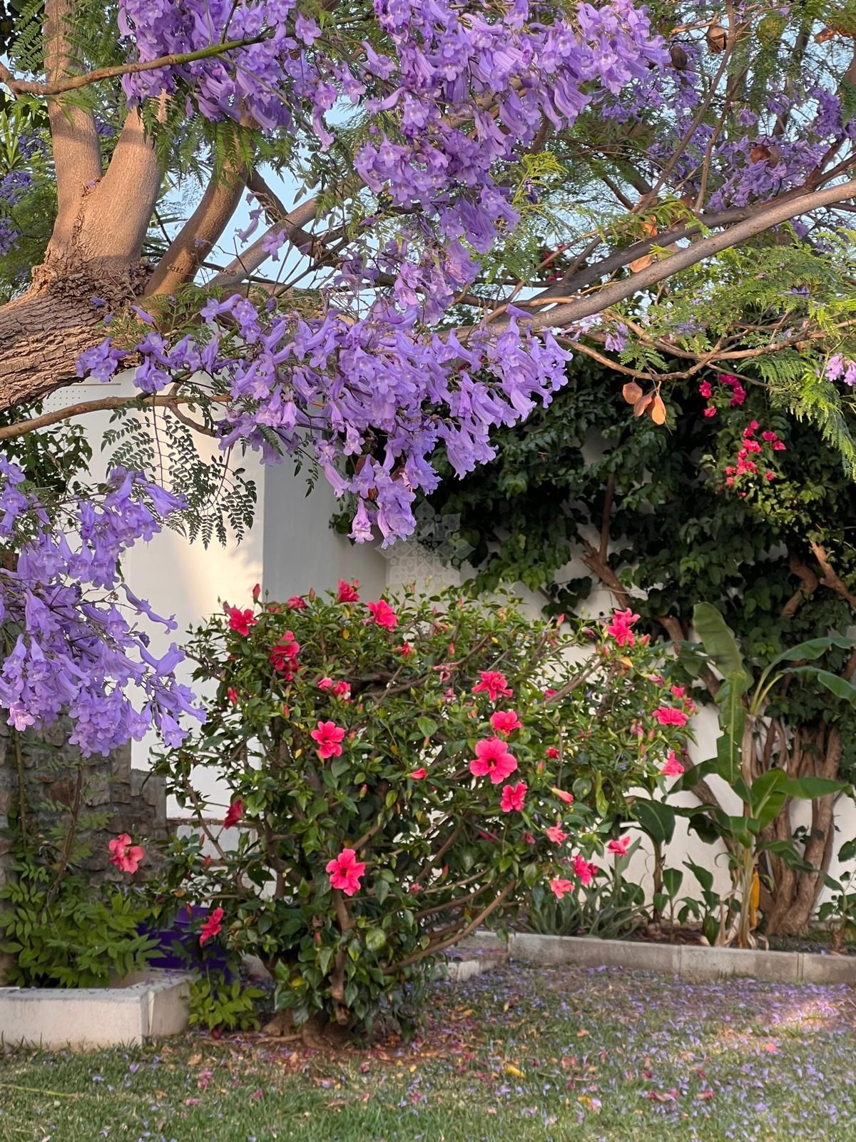 Villa en Puerto Romano, Estepona