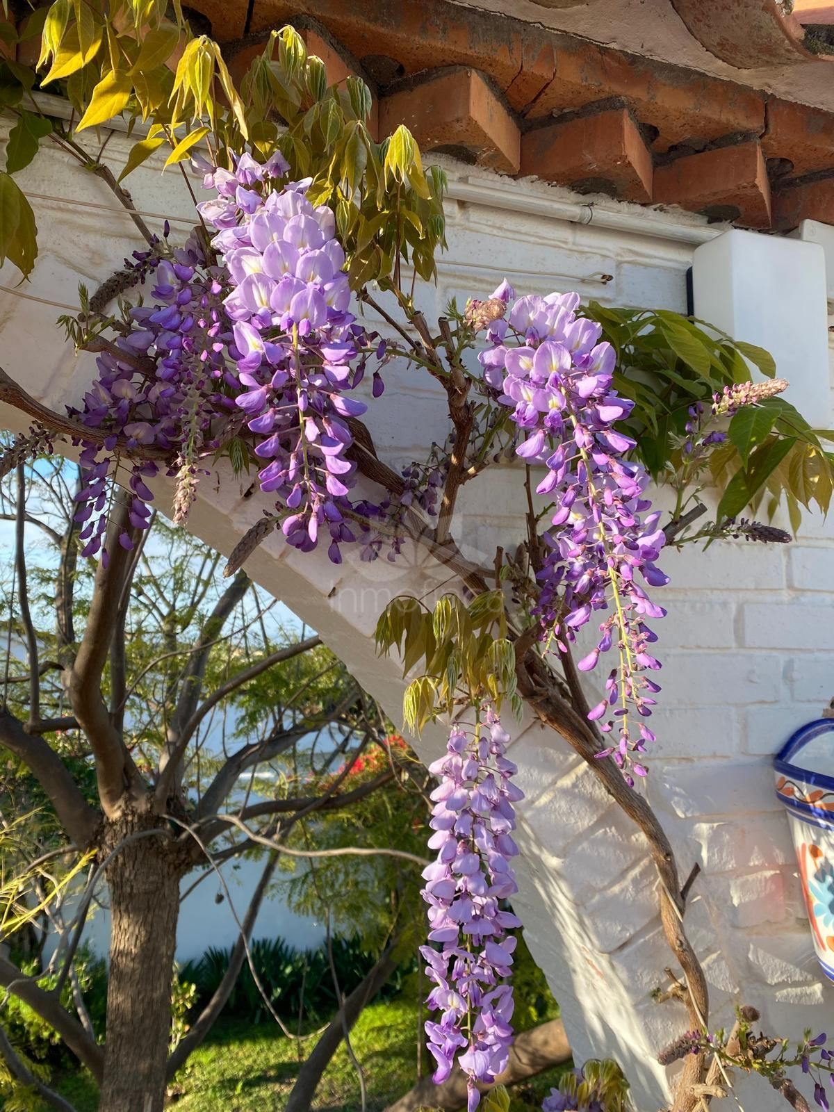 Villa in Puerto Romano, Estepona