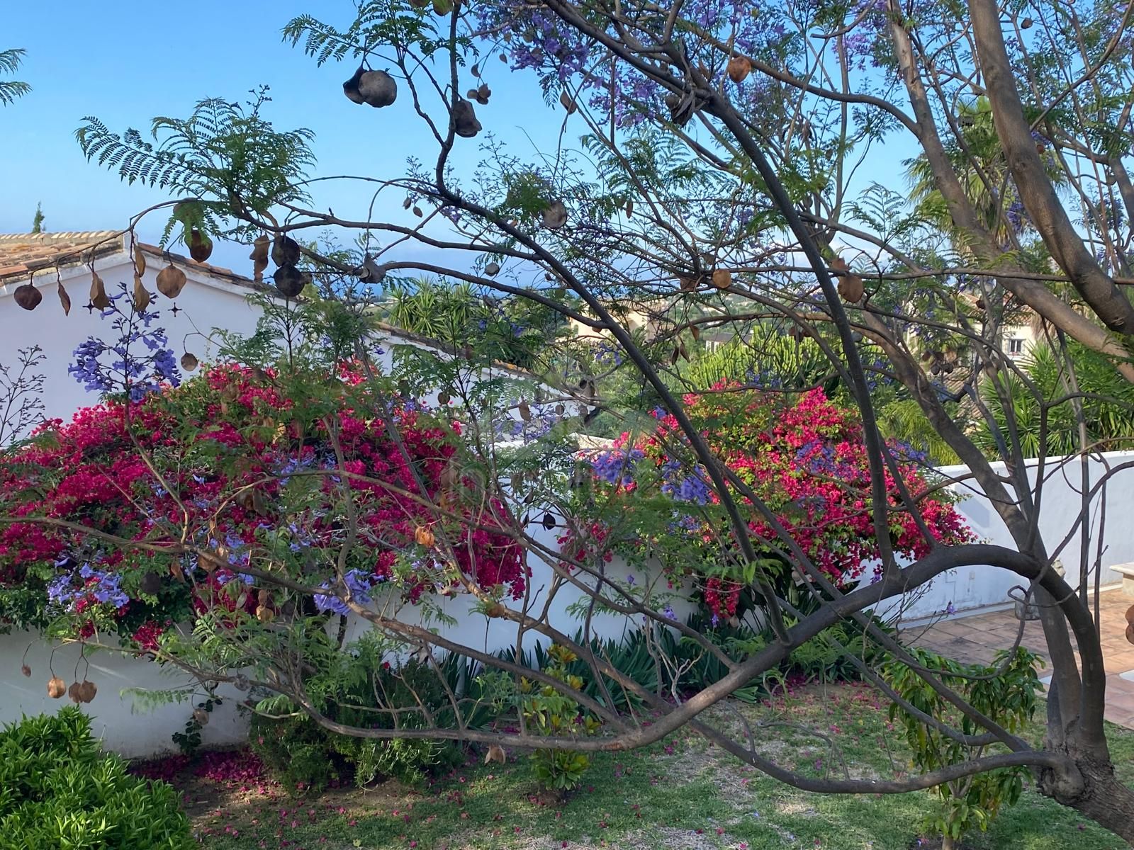 Villa in Puerto Romano, Estepona