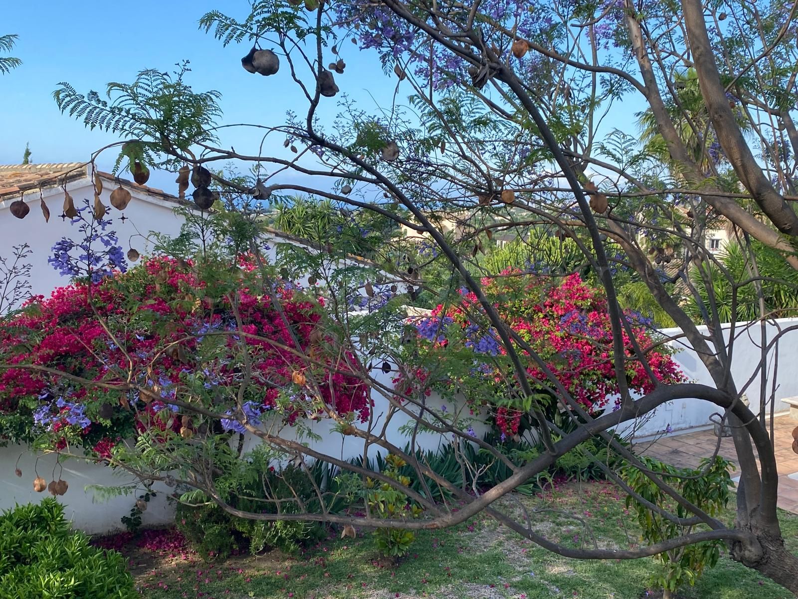 Villa en Puerto Romano, Estepona