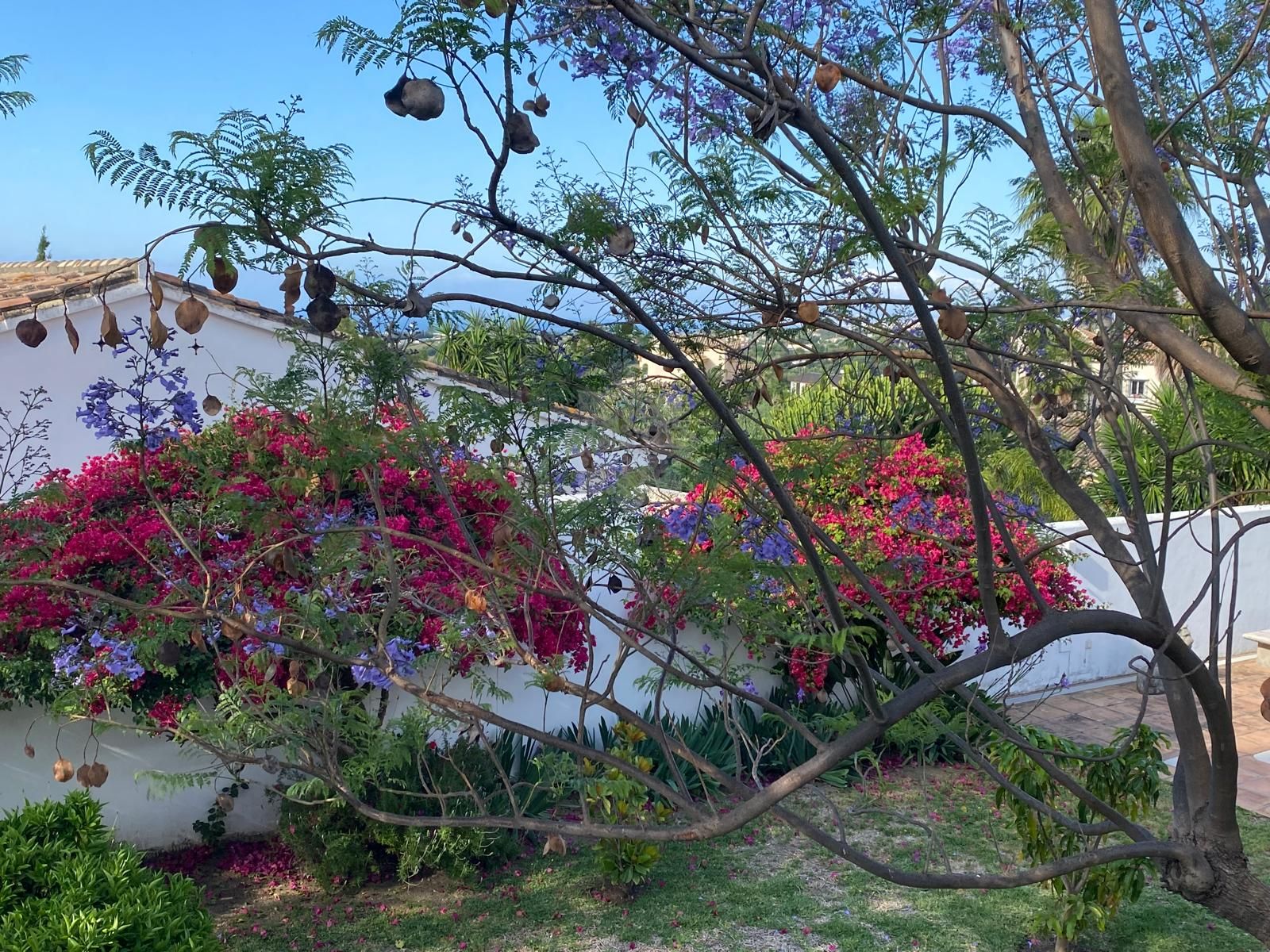 Villa en Puerto Romano, Estepona