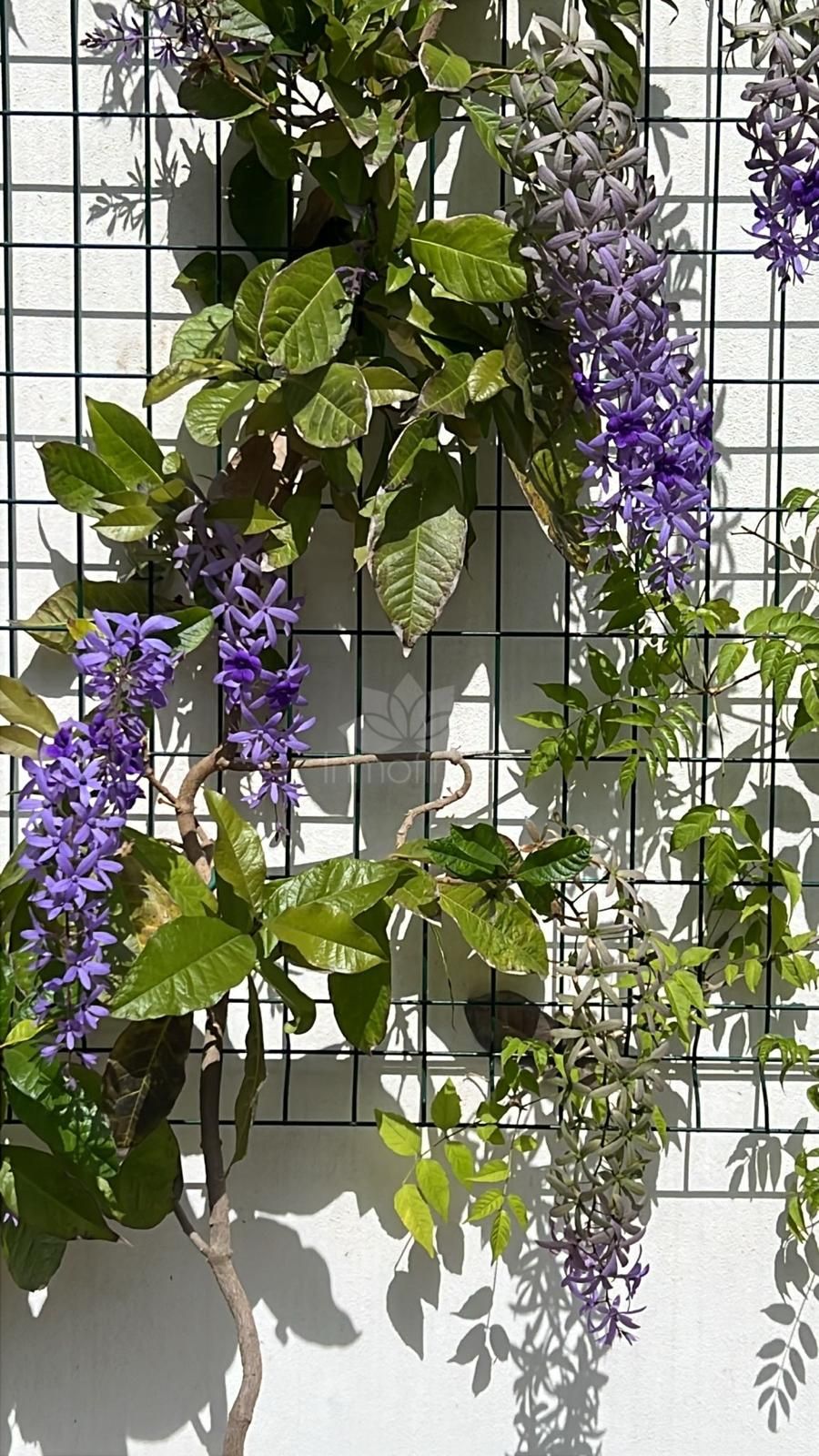 Villa in Puerto Romano, Estepona