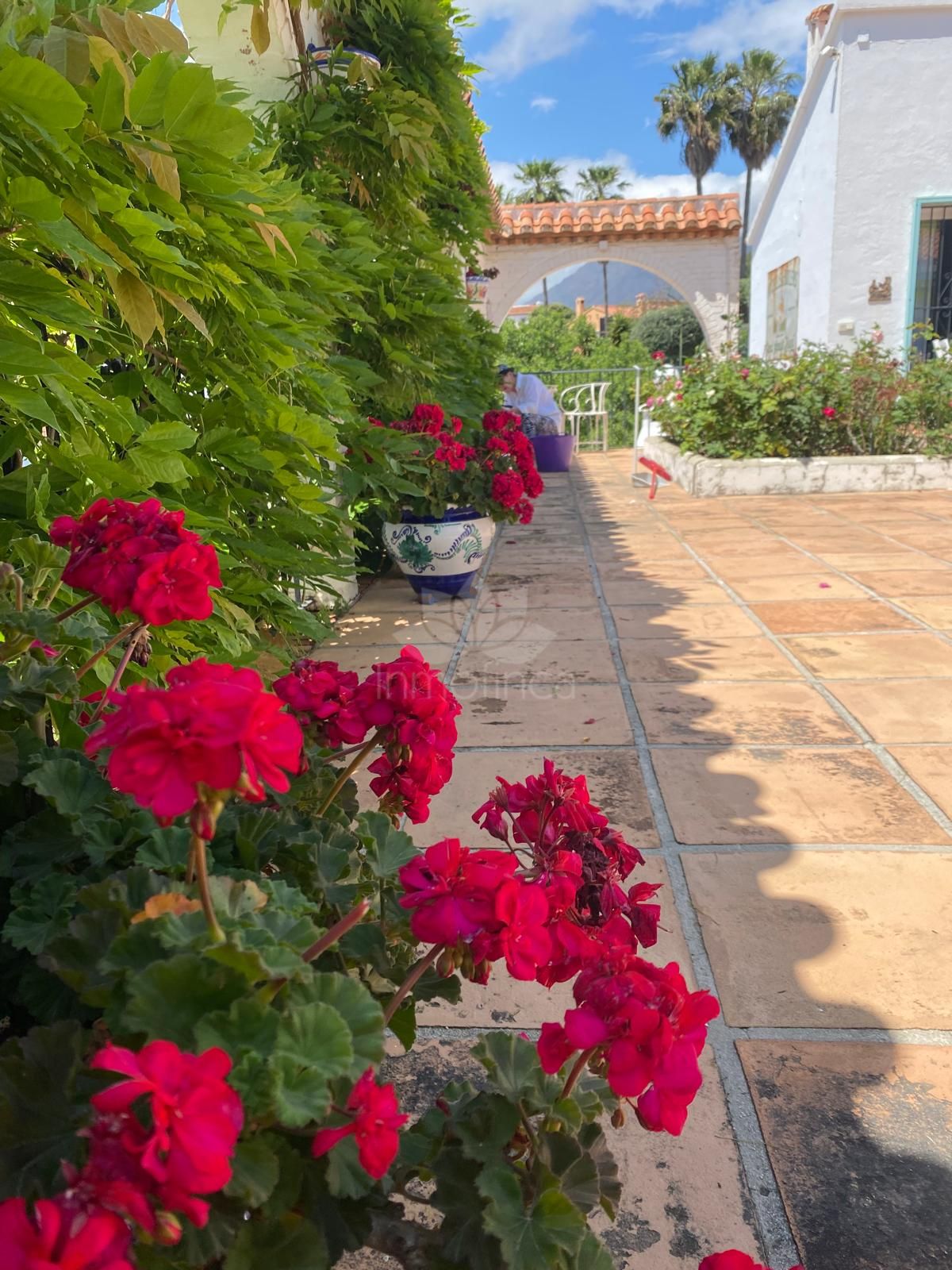 Villa in Puerto Romano, Estepona