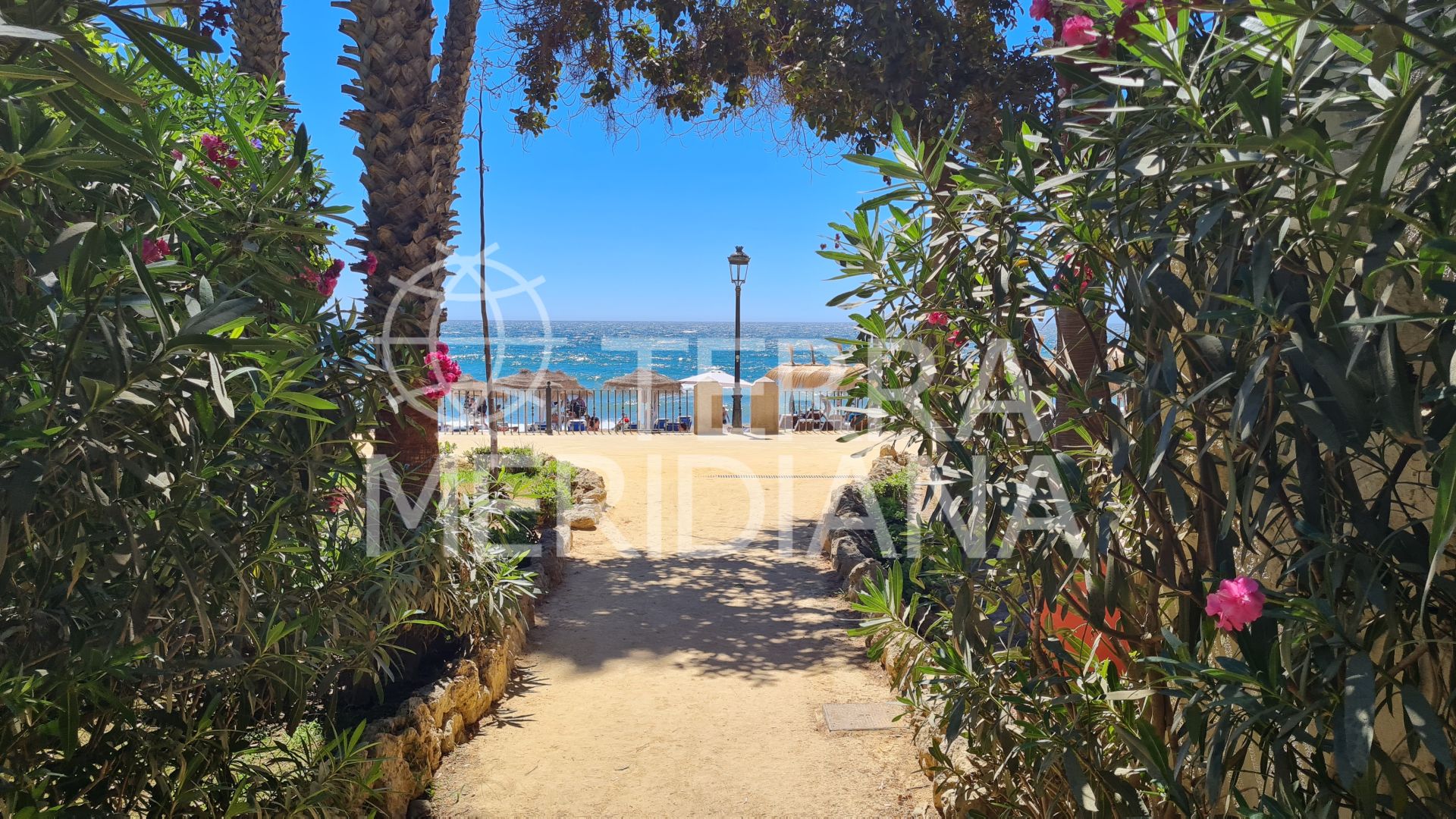 Apartment in Las Cañas Beach, Marbella