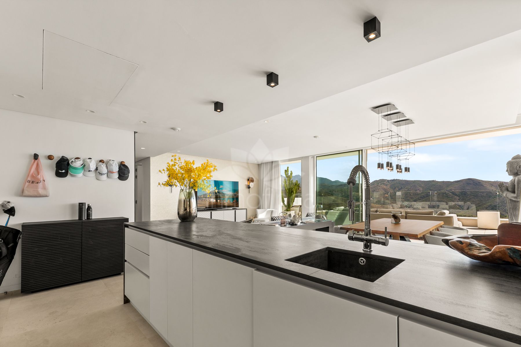 Duplex Penthouse in Palo Alto, Ojen