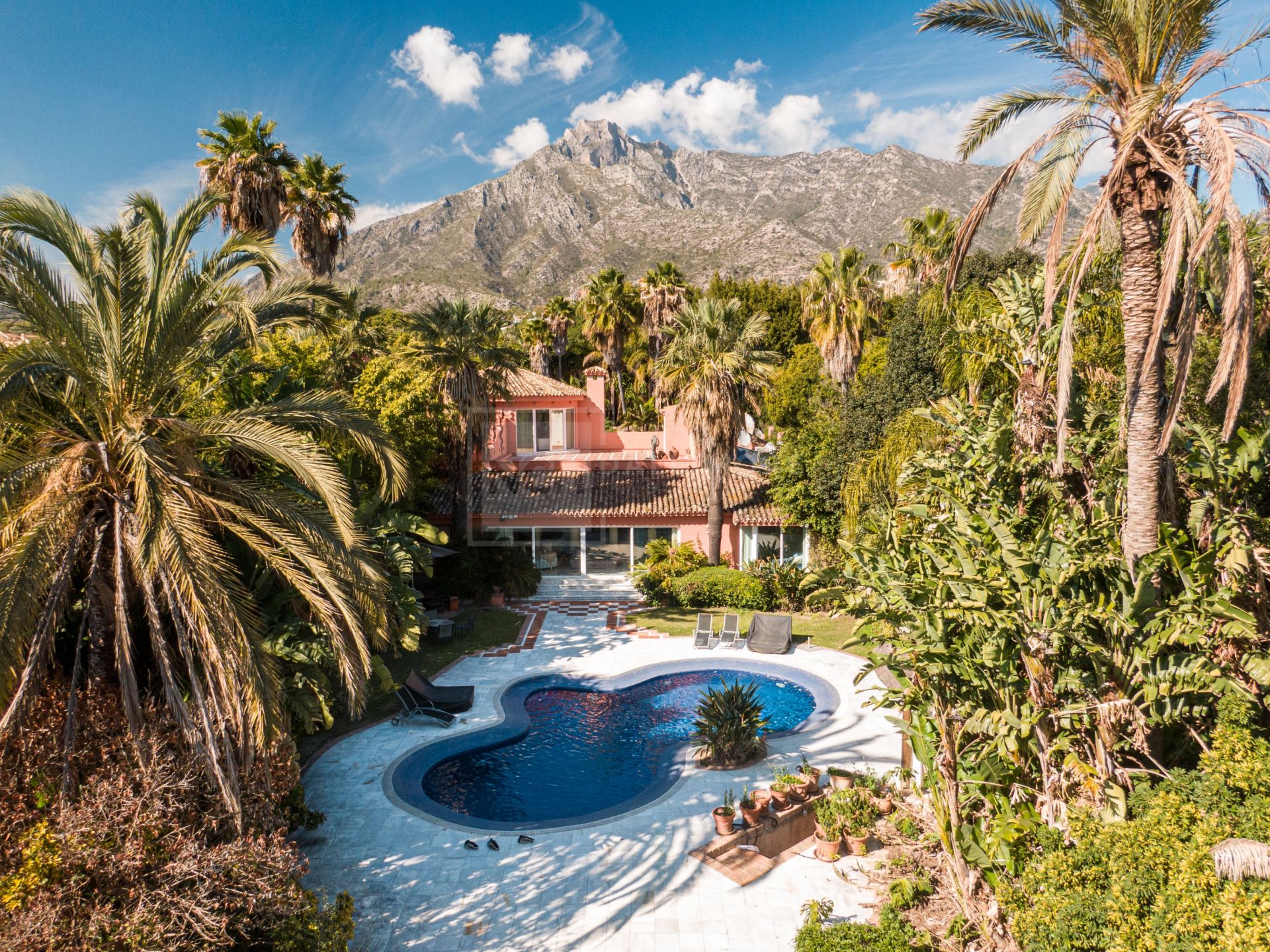 INVESTMENT OPPORTUNITY ON MARBELLA'S GOLDEN MILE