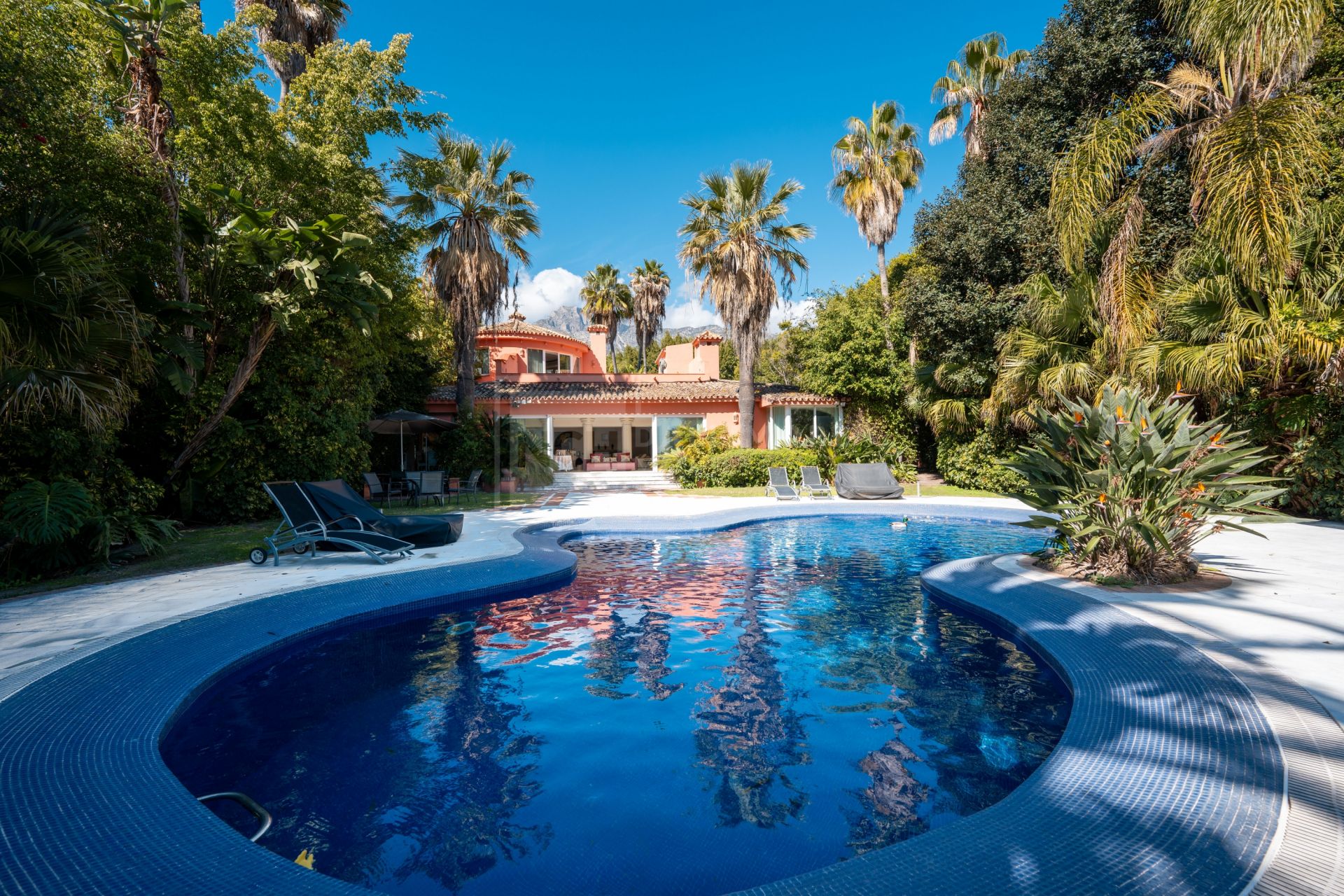 INVESTMENT OPPORTUNITY ON MARBELLA'S GOLDEN MILE