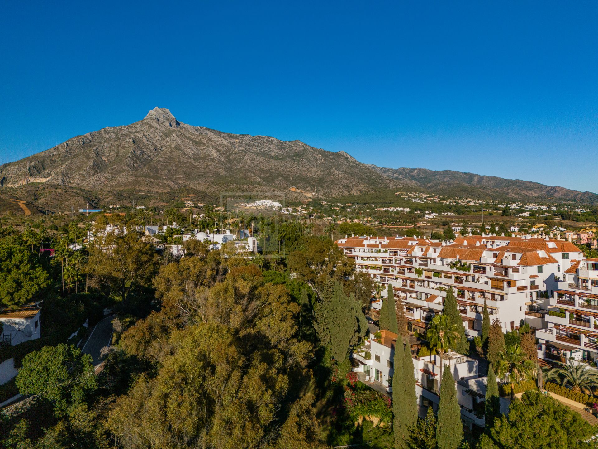 STUNNING 4-BEDROOM APARTMENT WITH OUTDOOR KITCHEN AND LUSH GARDEN ON THE GOLDEN MILE