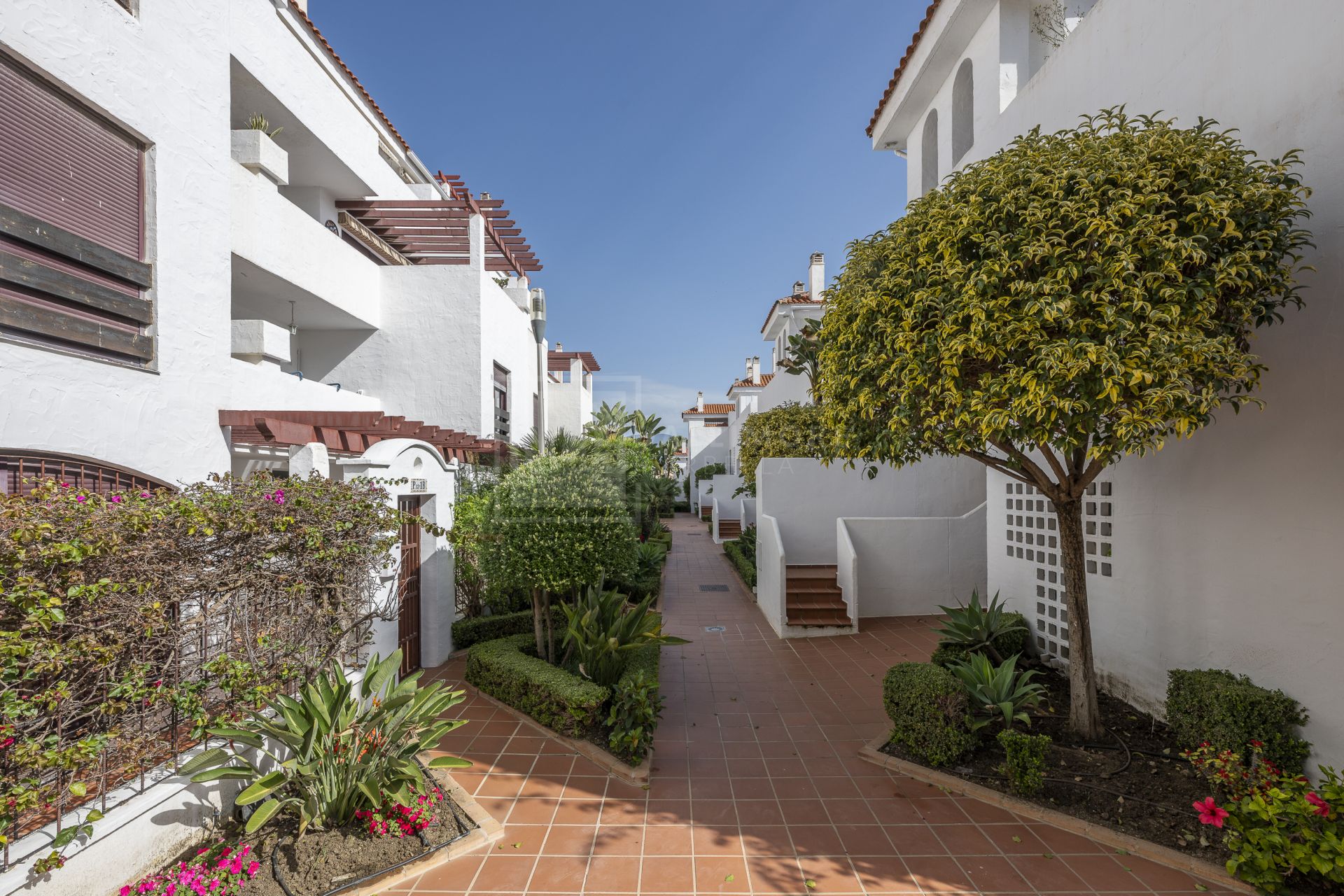Hermoso apartamento de tres dormitorios, orientado al este, situado en uno de los complejos más deseables de Nueva Andalucía, La Maestranza.