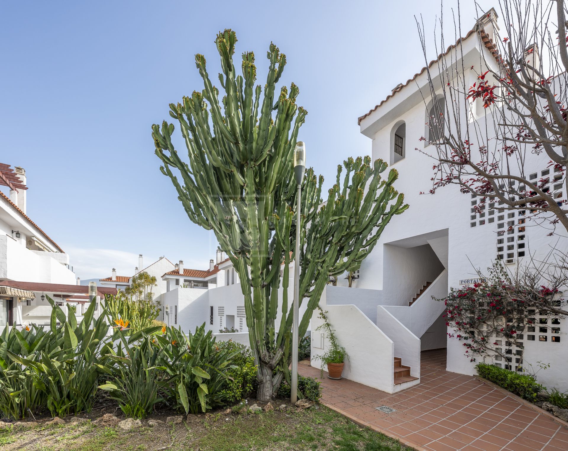 Hermoso apartamento de tres dormitorios, orientado al este, situado en uno de los complejos más deseables de Nueva Andalucía, La Maestranza.