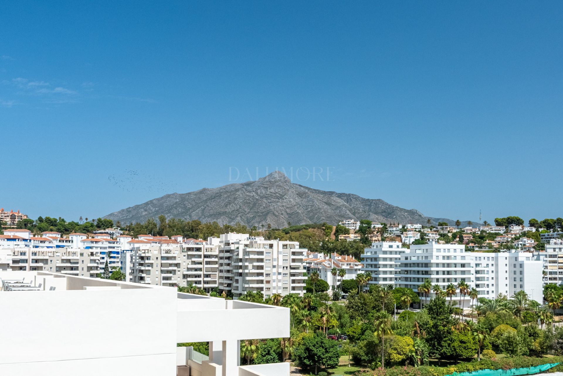 Brand-New 3-Bedroom Apartment for Long-Term Rent in La Campana, Nueva Andalucía