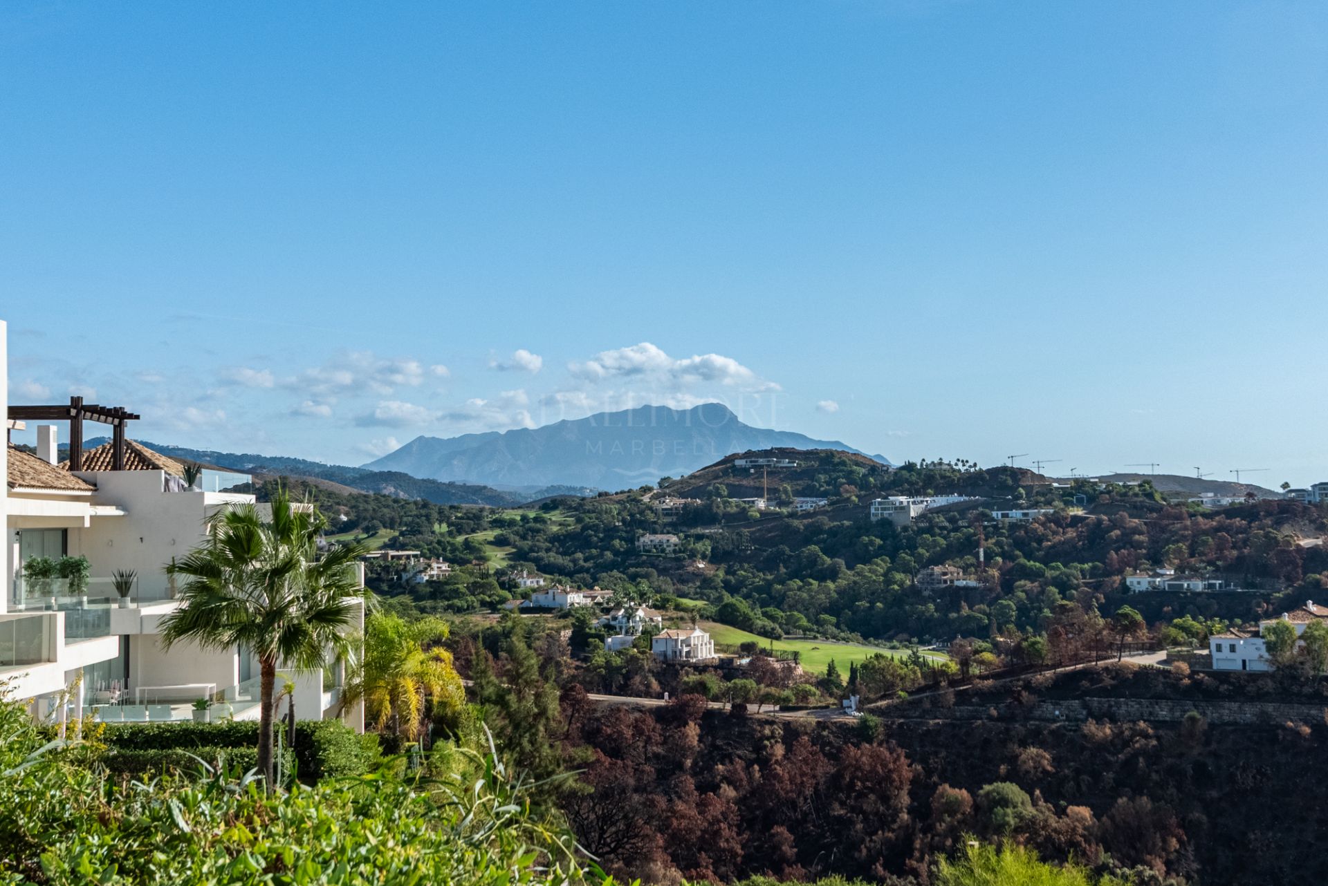 Large 3-Bedroom Duplex Apartment with Private Garden