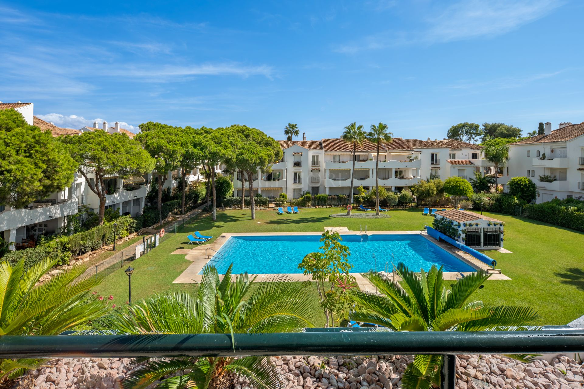 Beautifully refurbished beachside penthouse in El Presidente