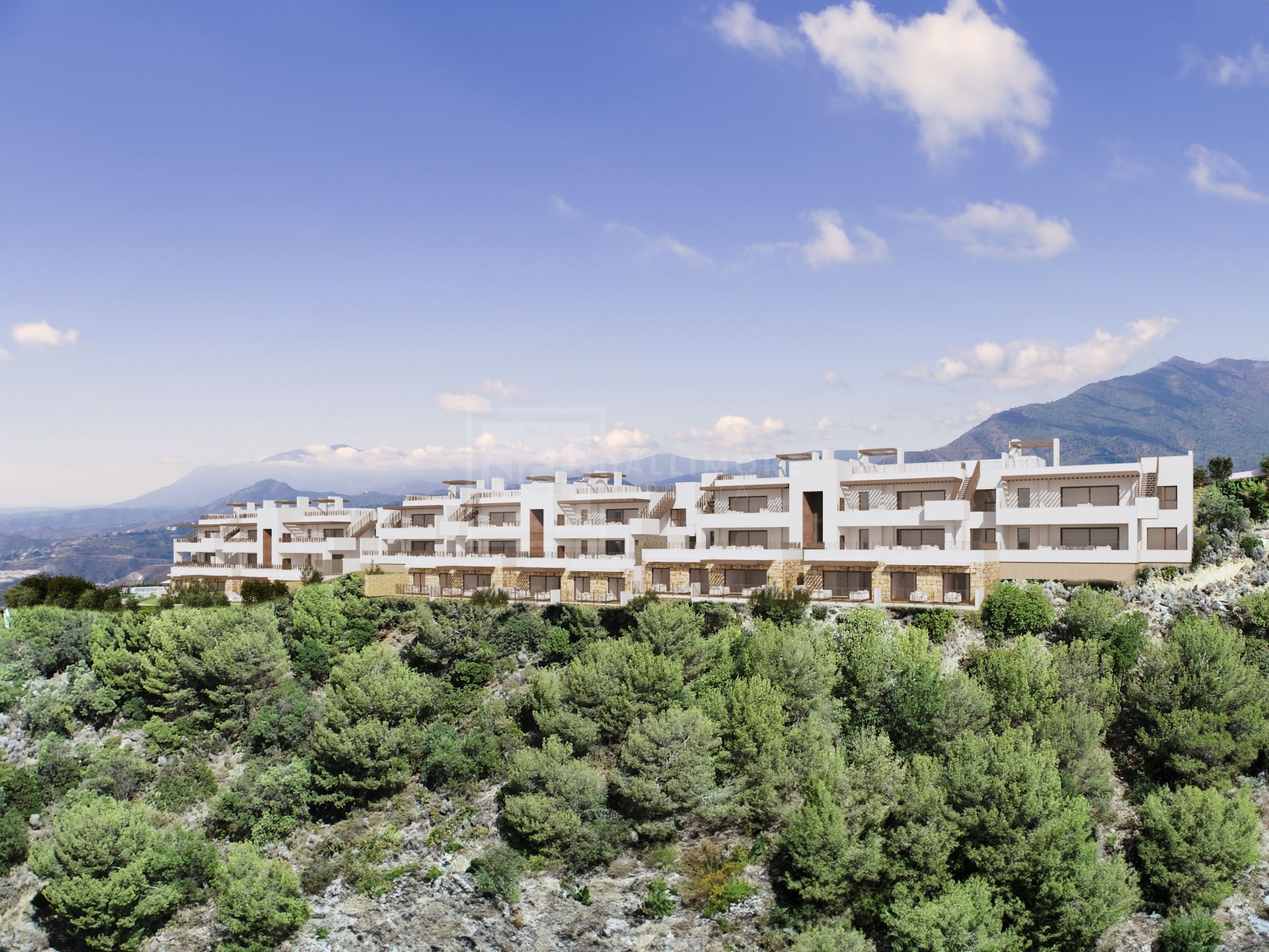 Almazara Forest, acogedores apartamentos en la montaña en Istán.