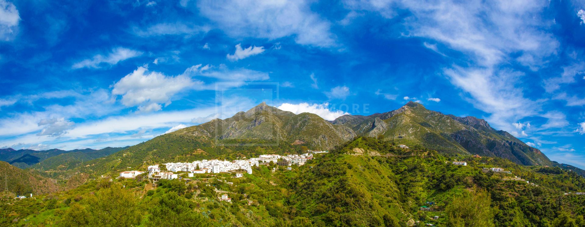 Almazara Views, adosadas de estilo contemporáneo y totalmente integradas en la naturaleza.