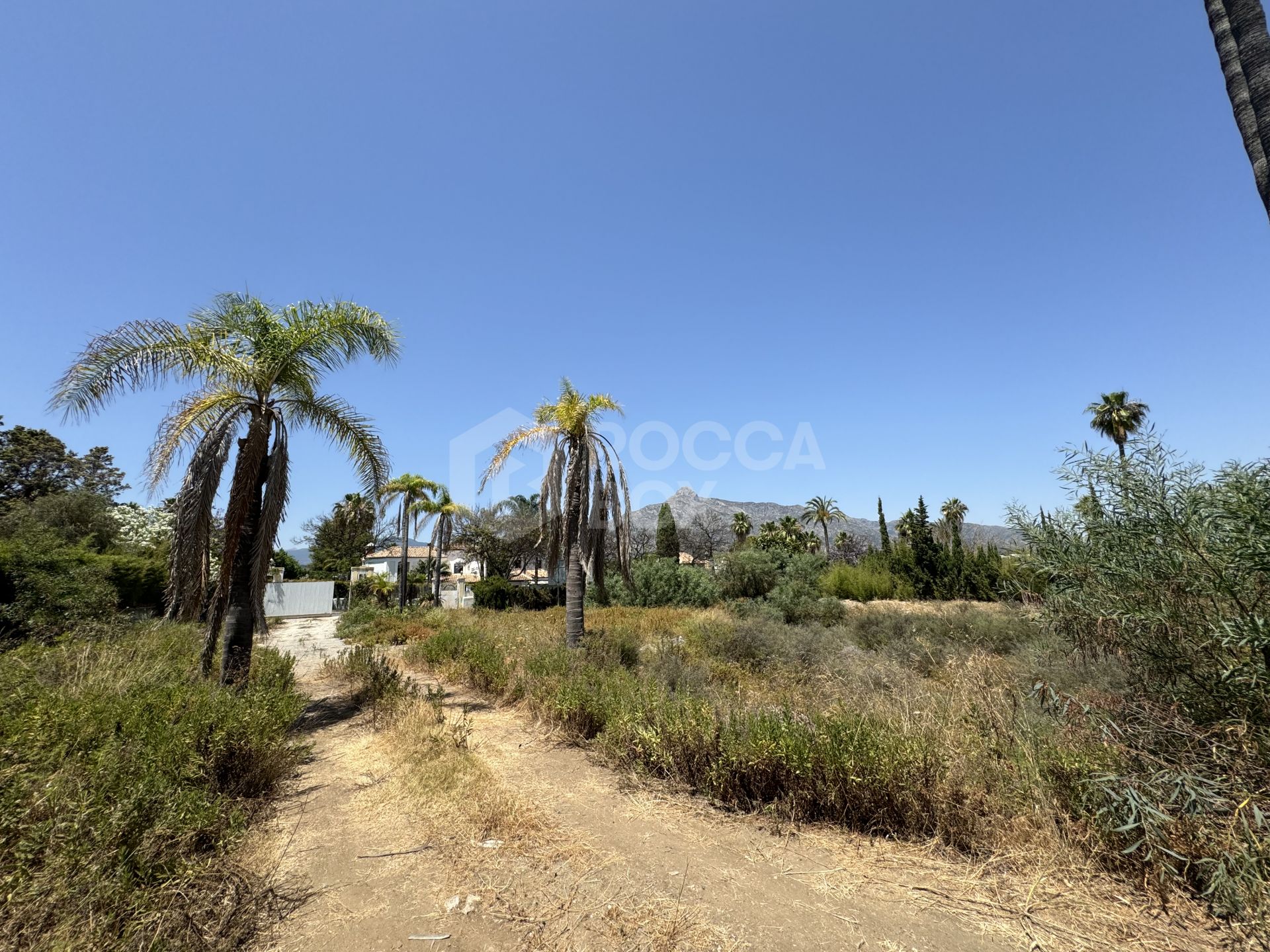 Exclusive Prime Plot for Sale in Atalaya de Rio Verde